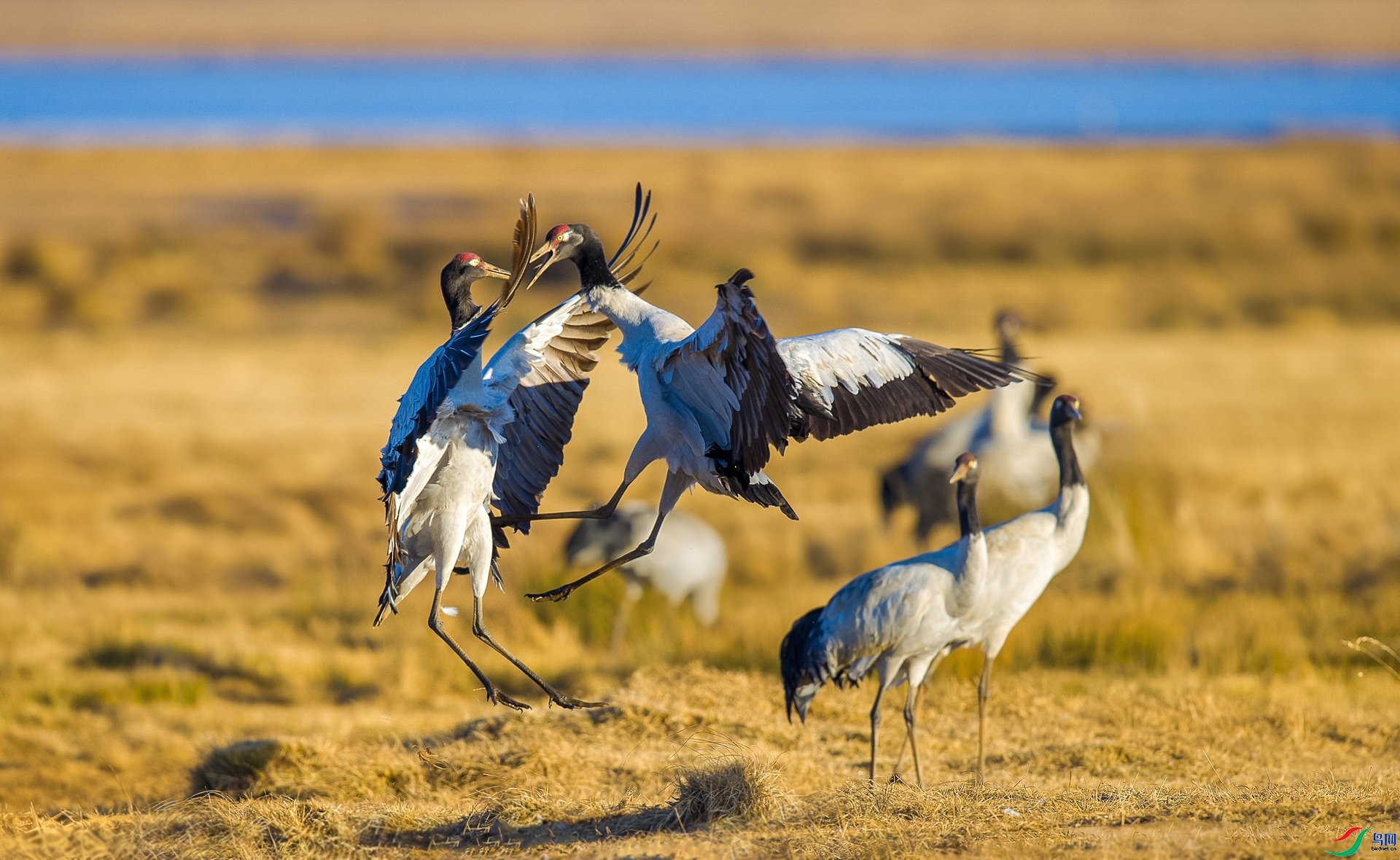 ���֮�� ���� ���� ��һ.jpg