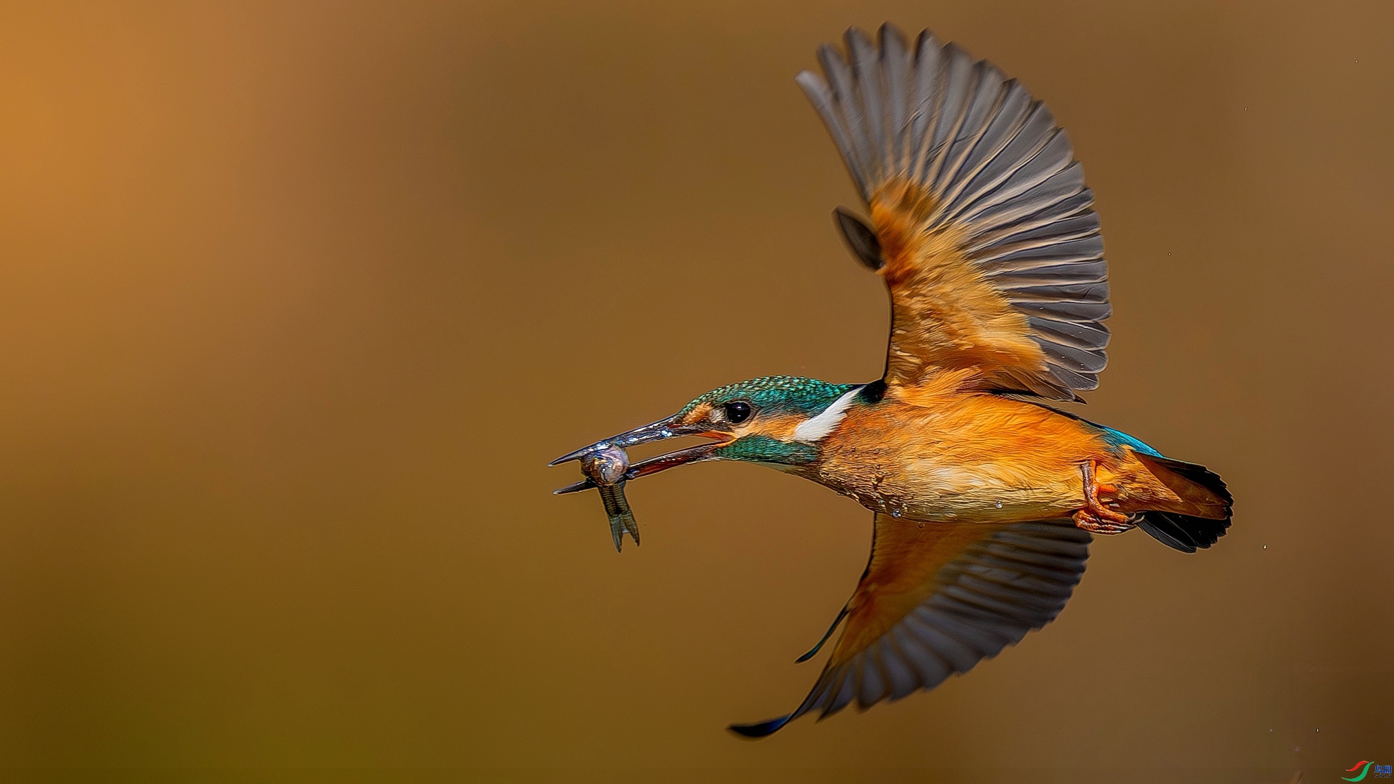 �ջ� ���� ������ ��һ.jpg