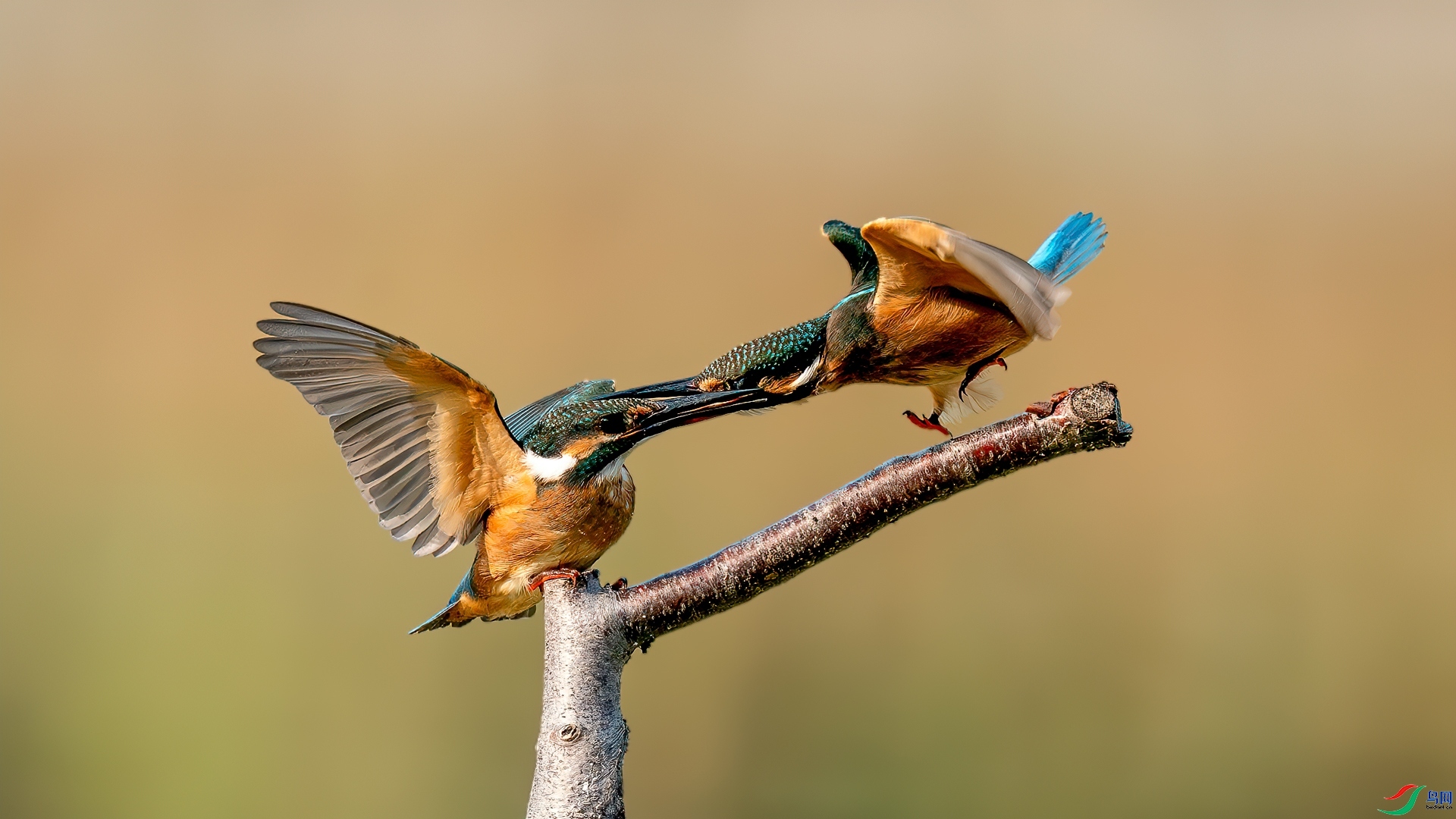 ��λս  ���� �������� �ܶ�.jpg