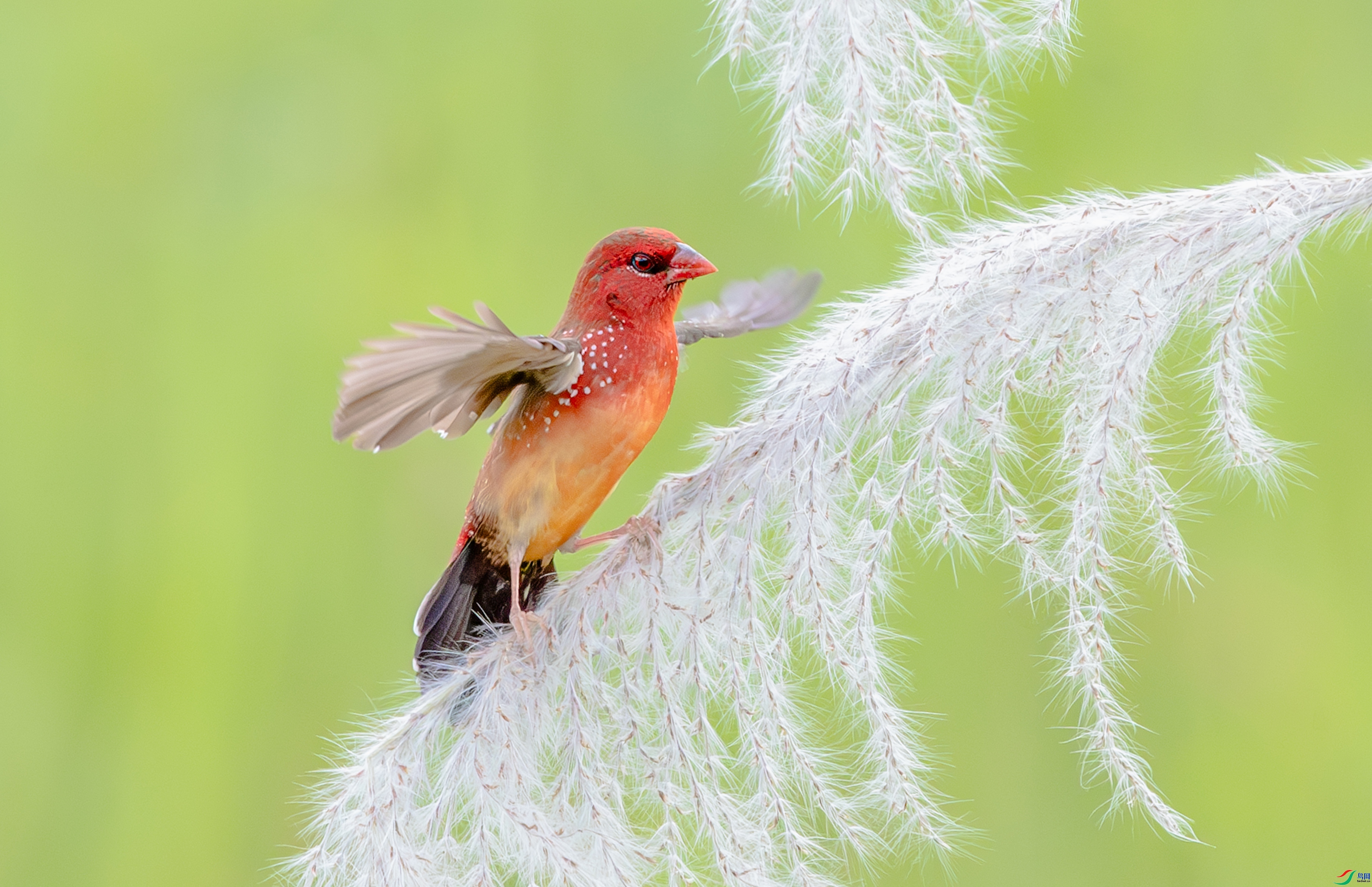 ���Ժ�÷ ���� ���� ����.jpg