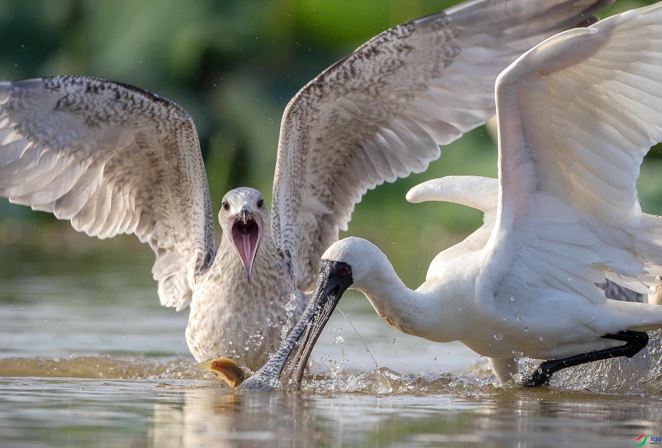 Ÿ����  ���� ����.jpg