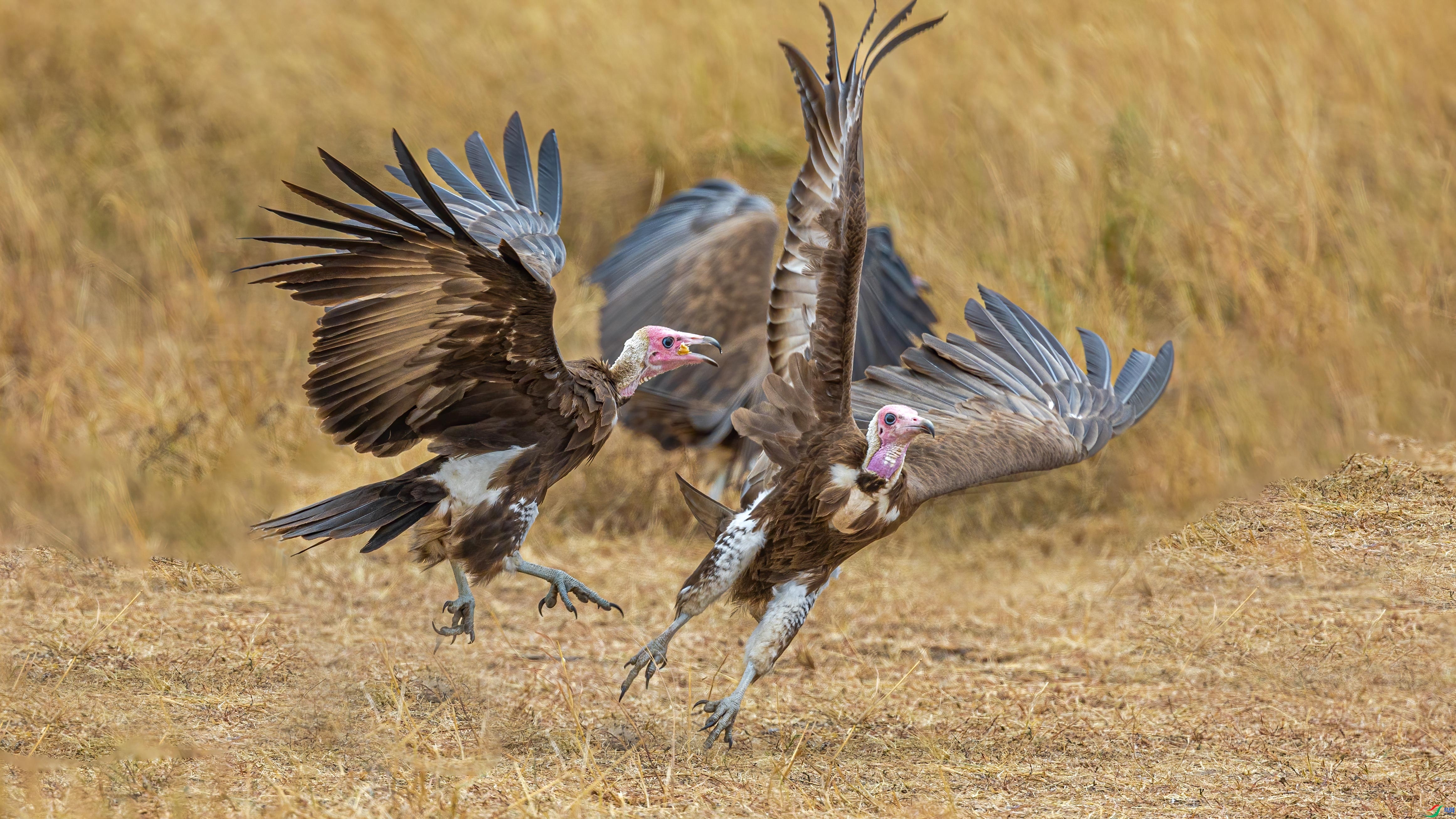 ���� ���� �䱾���� ����.jpg