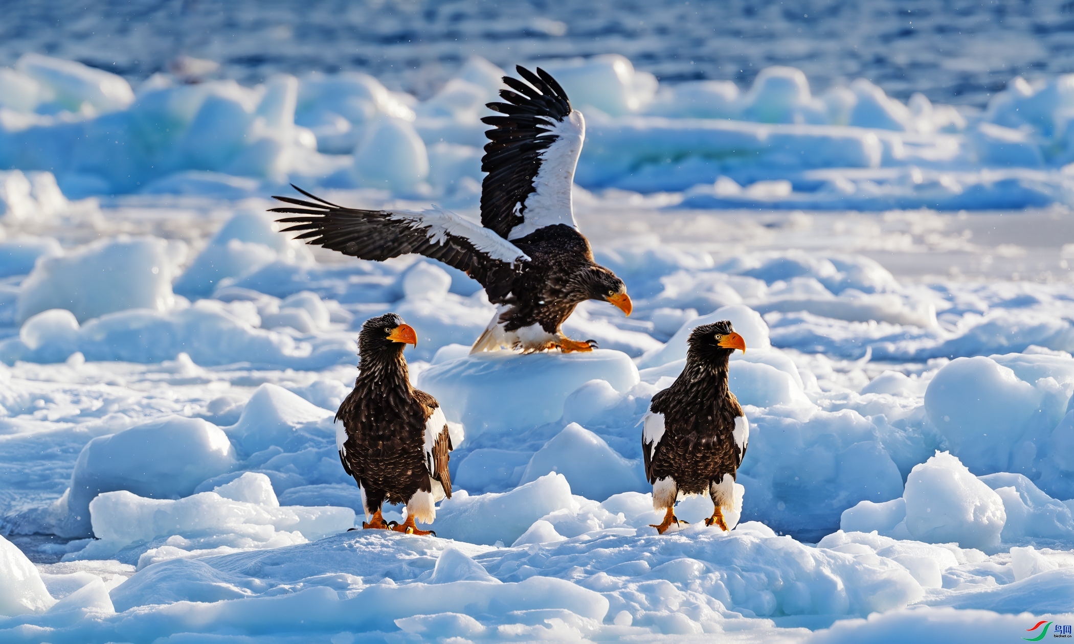 ���������� ���� �������� ����.jpg