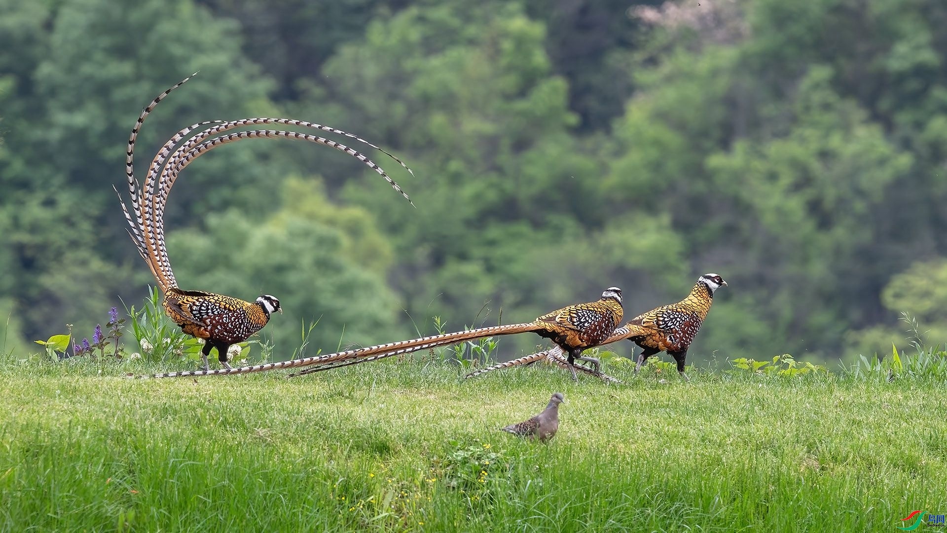 �׹ڳ�β������ ���� ��ְ�� ����.jpg