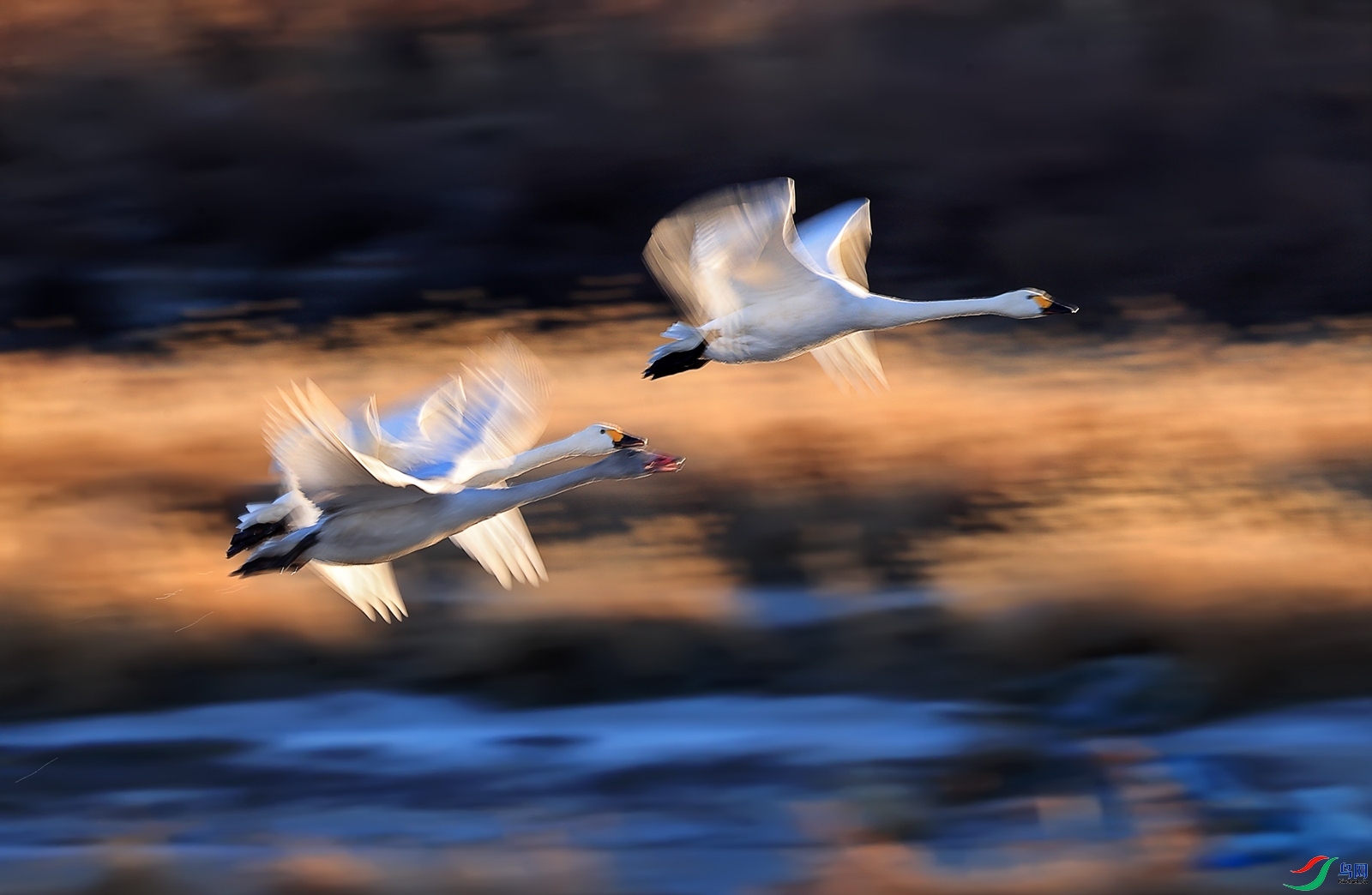 ���� ���� ��Ұ ����.jpg