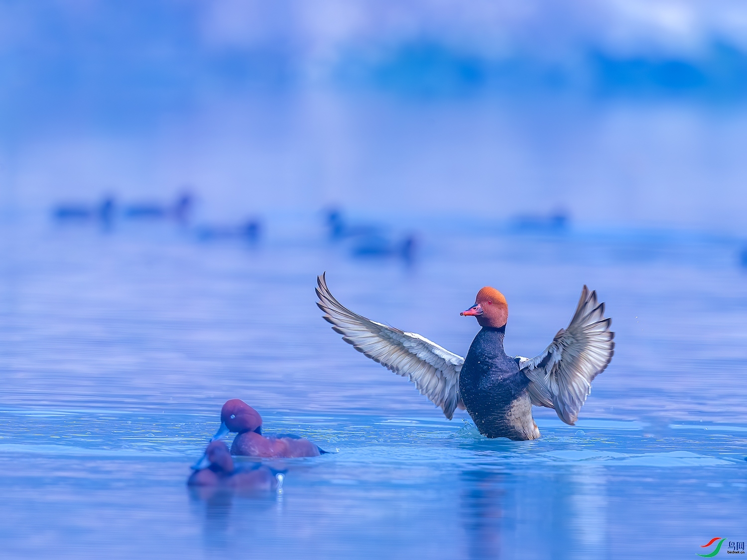��ש���� ���� ��ͥ�Ų�TES  ����.jpg
