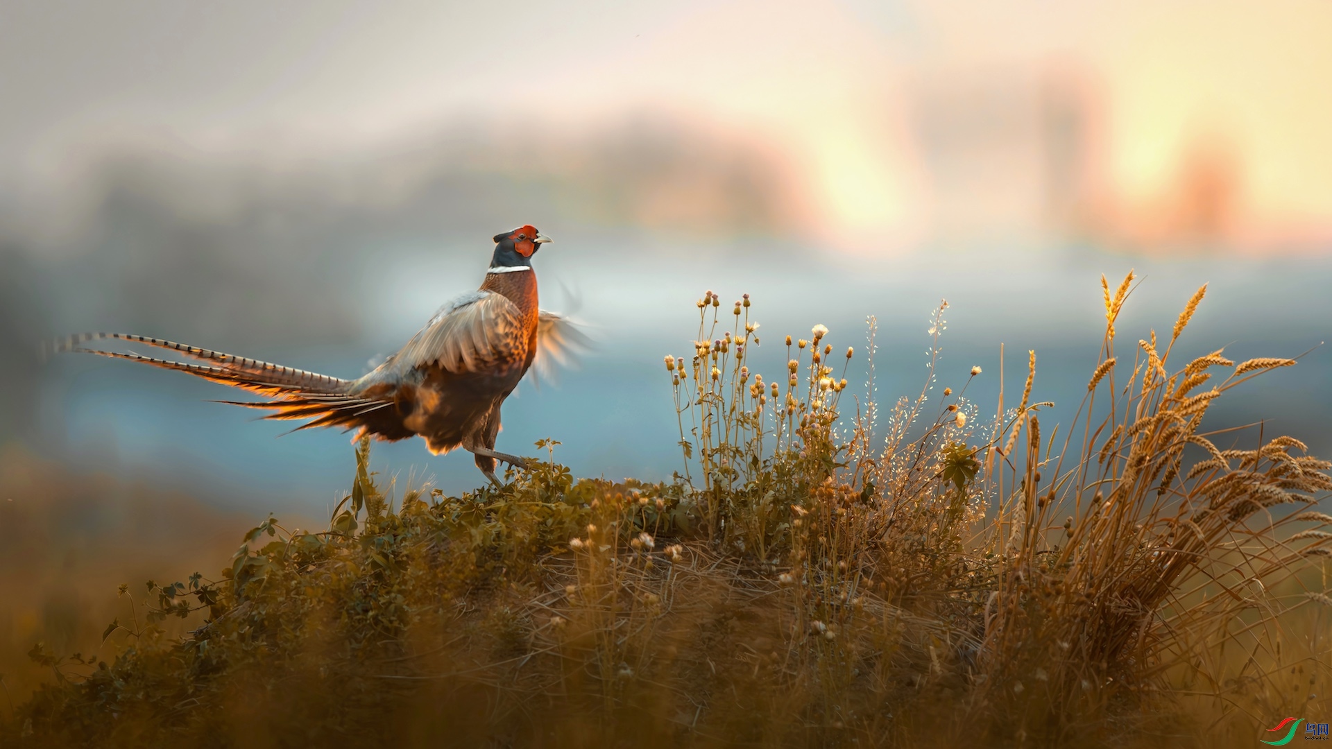 1_XXI0262-����ǿ-NR-1 ���� 2.jpeg