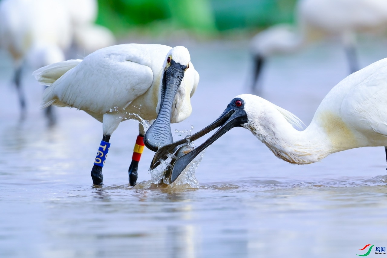 ׯ�������� ���� �չ�����-����  ����.jpeg