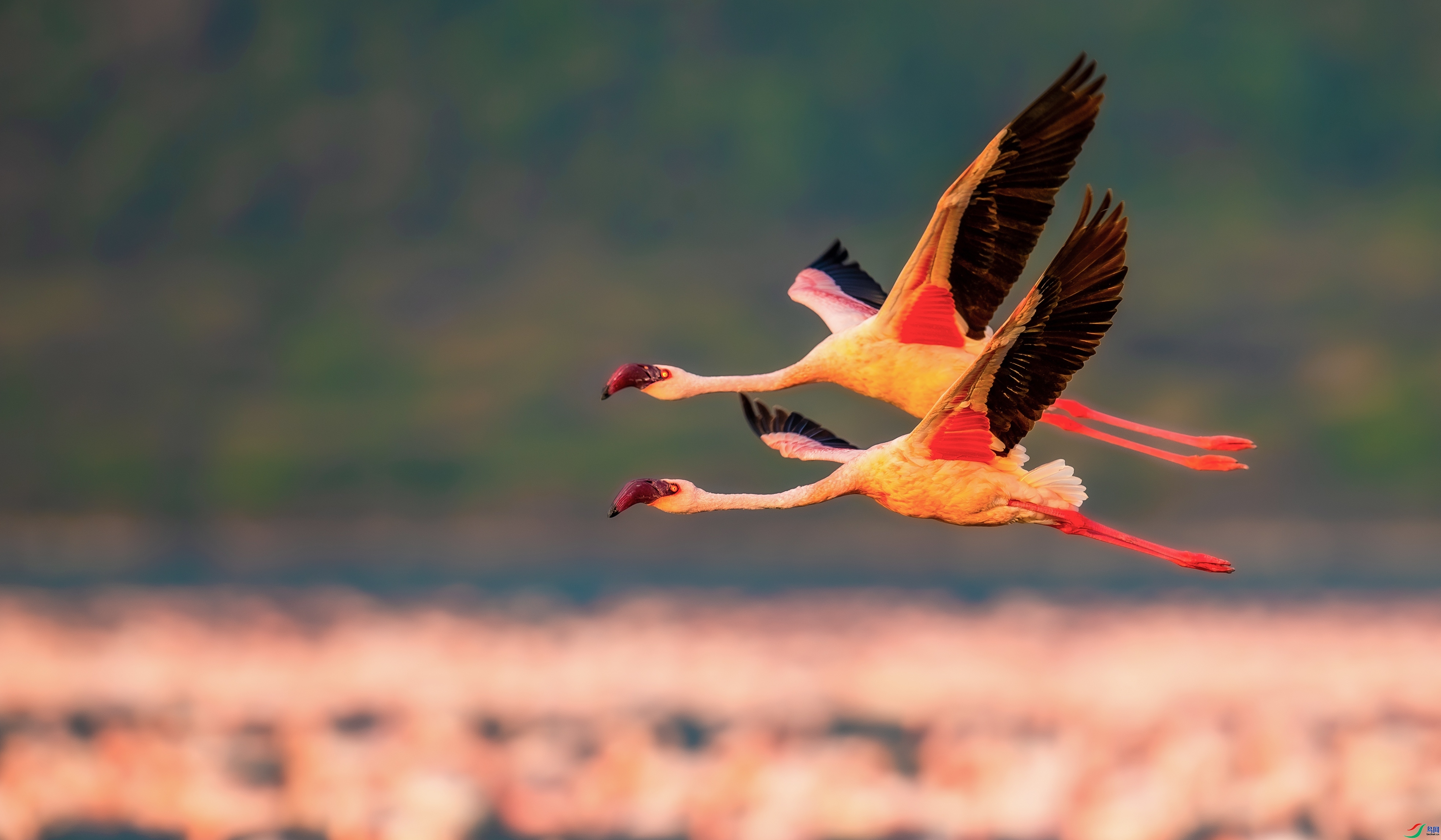 ����ͬ��  ���� ����.jpg