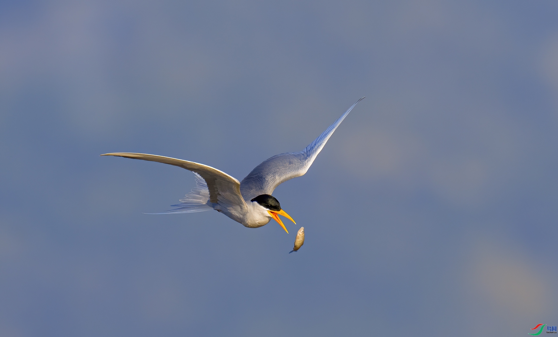 �������Ÿ  ���� ����������.jpg