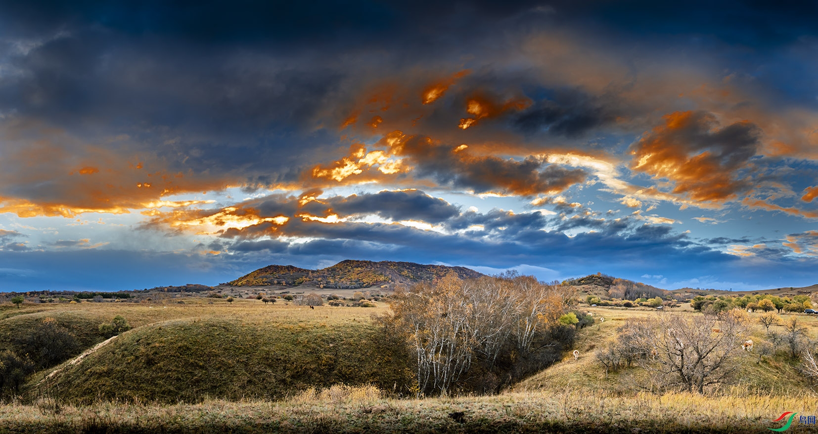 DSC_6367-Pano.jpg