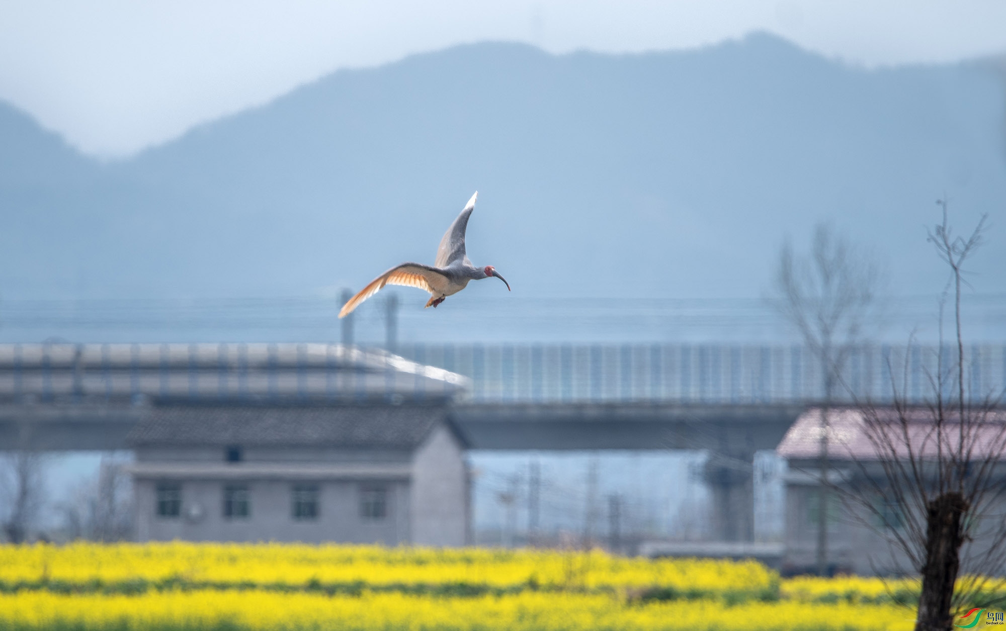 DSC_5439 --����.jpg