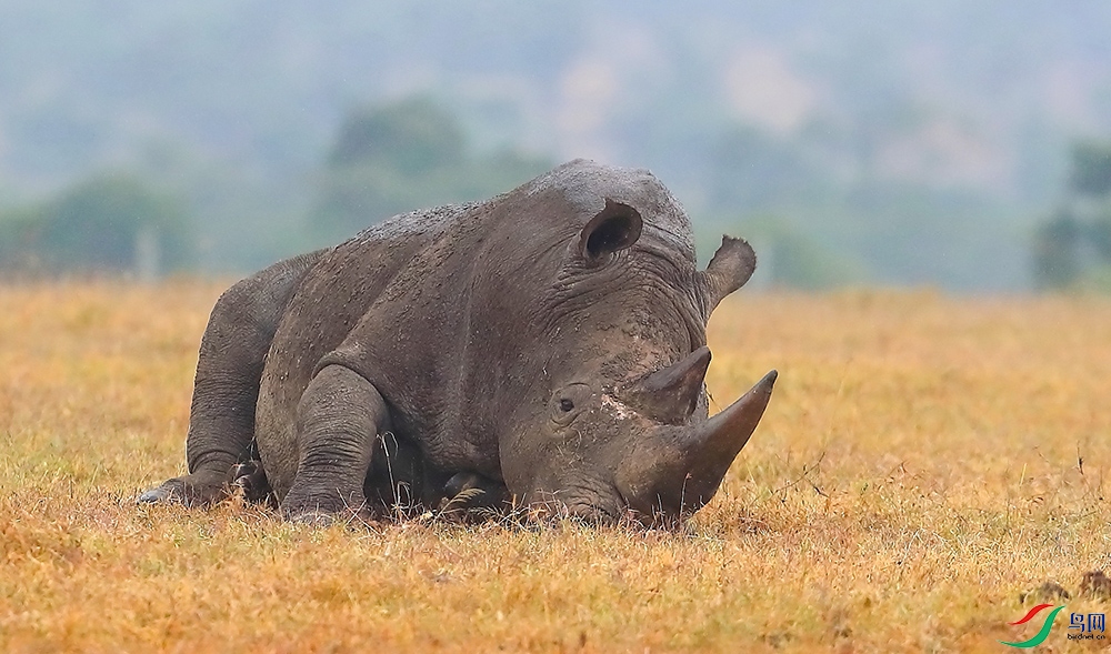 ����Ϭţ (3).JPG