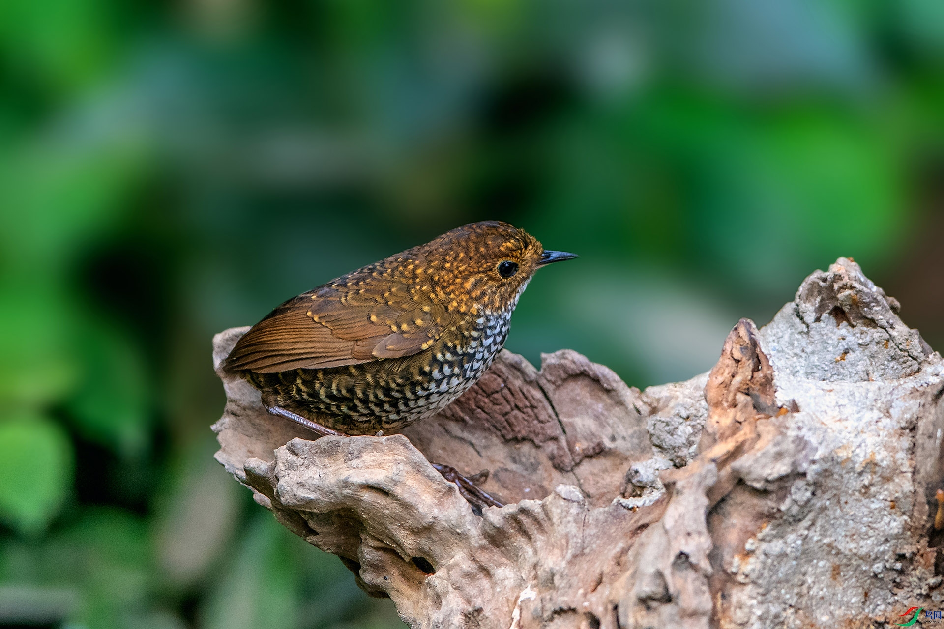 ��_AUU1736����������(24.2.15)-1.jpg
