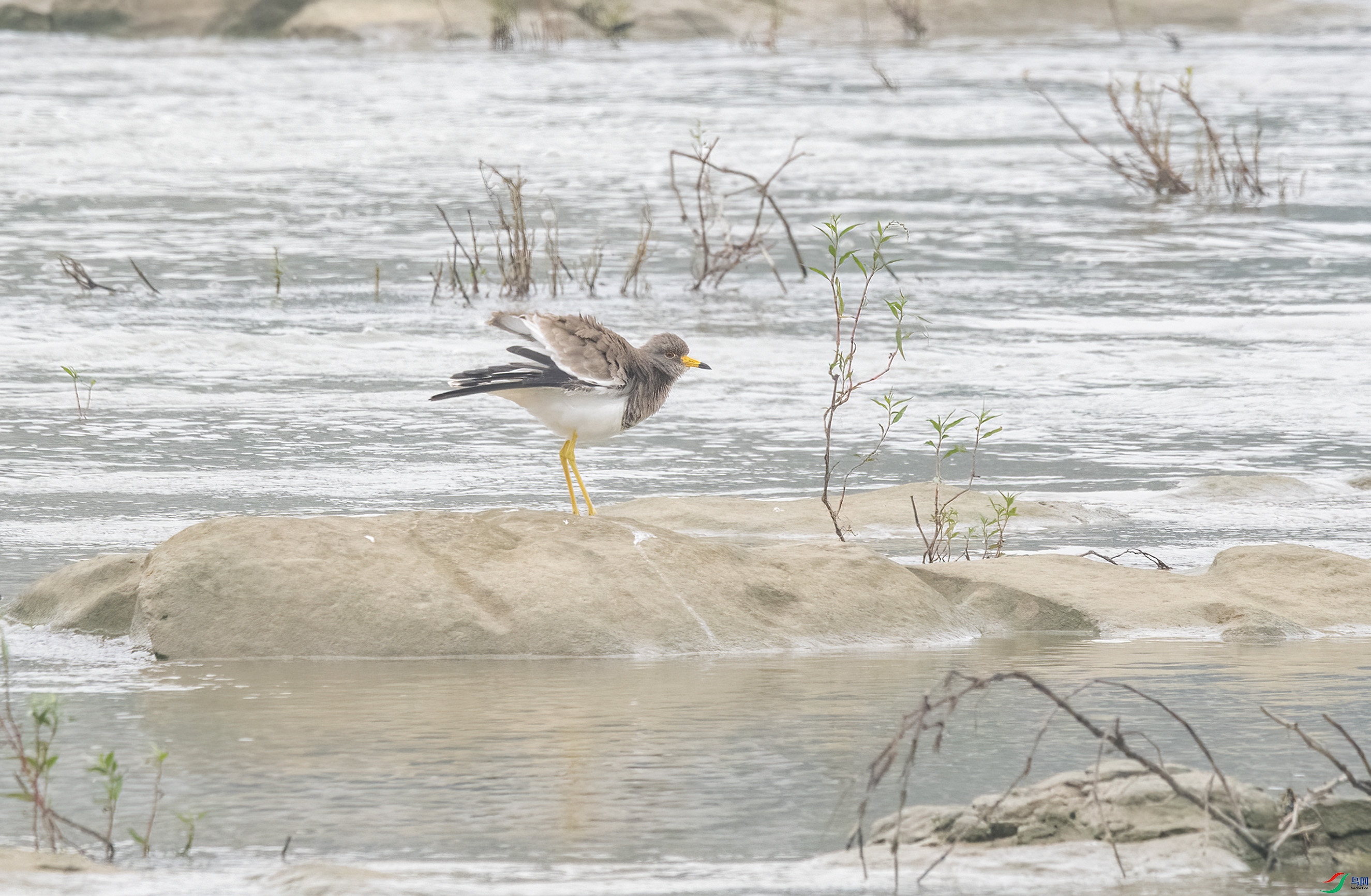DSC_6250.jpg