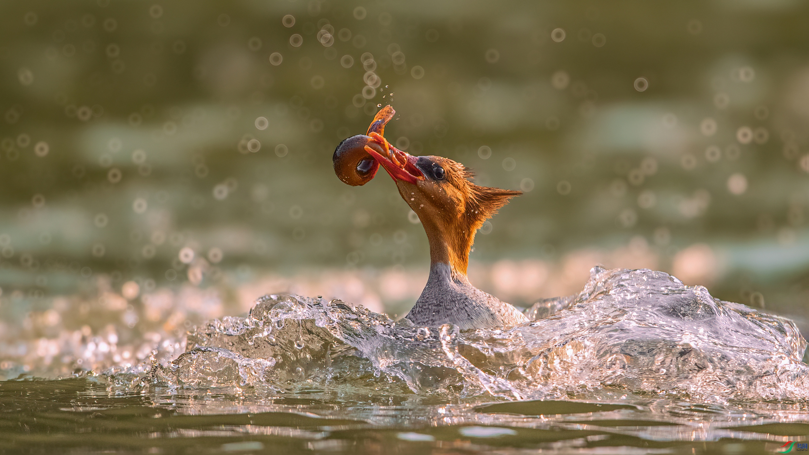 1��ƬDSC_4761 ���� 2.jpg