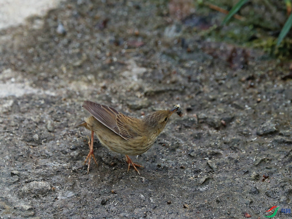 DSC20241007228.jpg