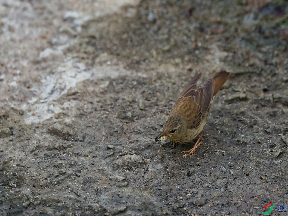DSC20241007222.jpg