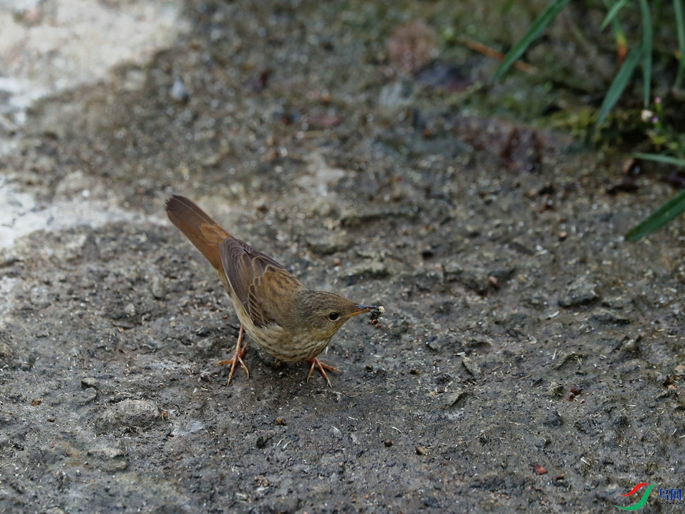 DSC20241007225.jpg