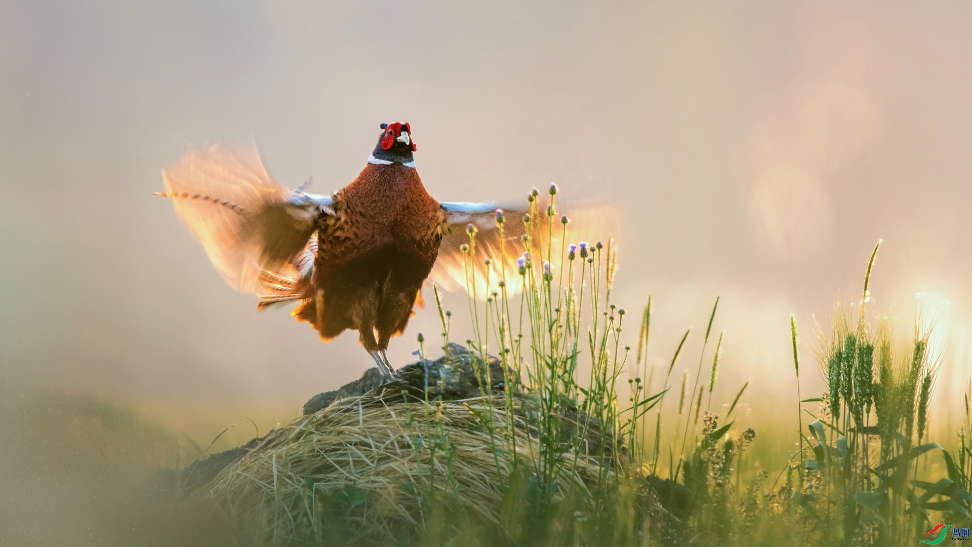 ������������ ���ӿ������ˡ�ɽ����Ӱ.jpeg