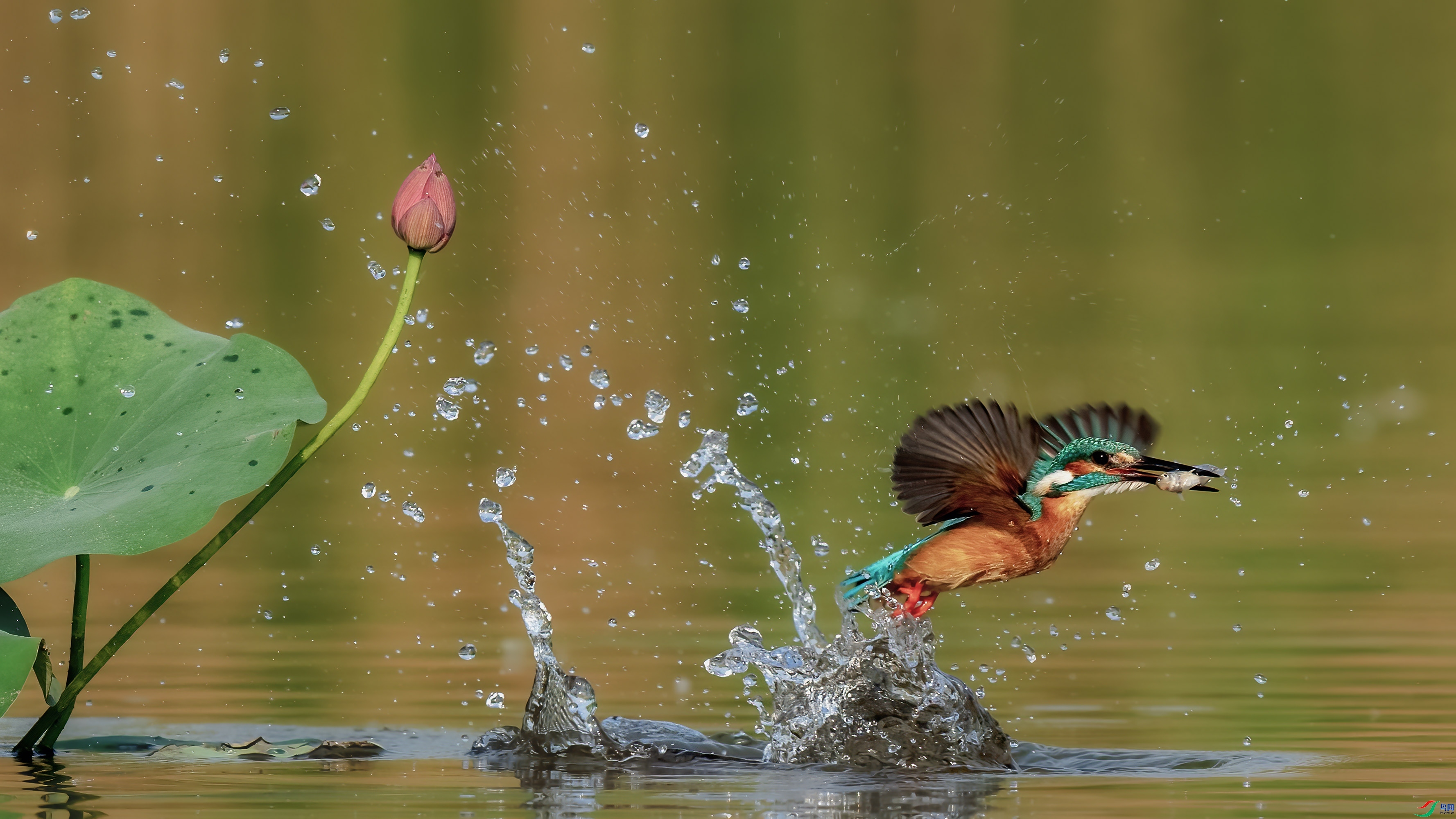 ���Ѿ������� ���񡷱��Ӻ���.jpg