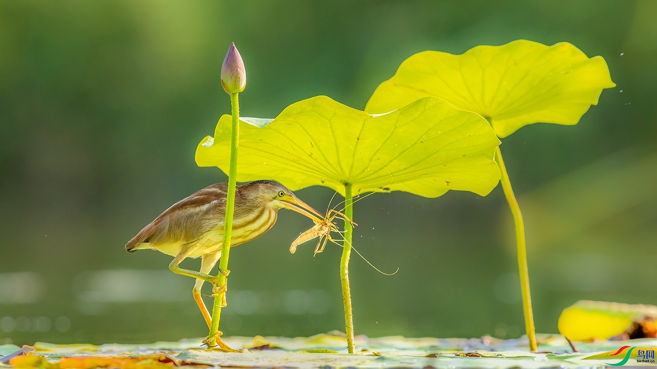 ���Ѿ������� ����׽Ϻ���������.jpg