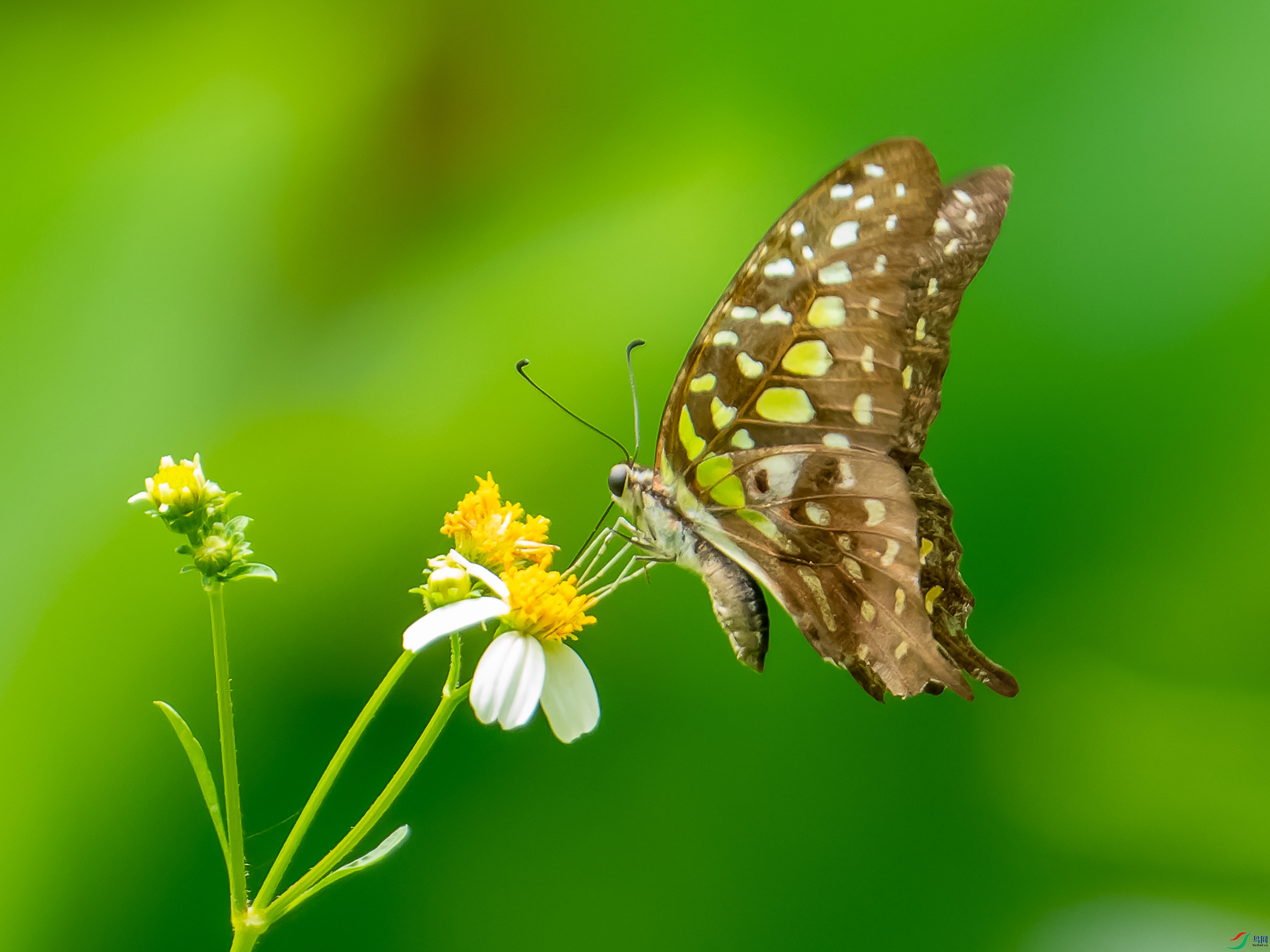 DSC03553-1.jpg