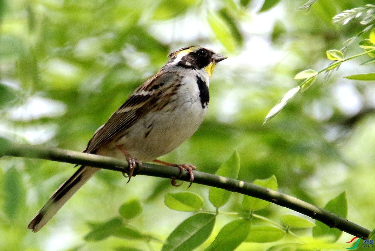 A6822�ƺ��M-24.JPG
