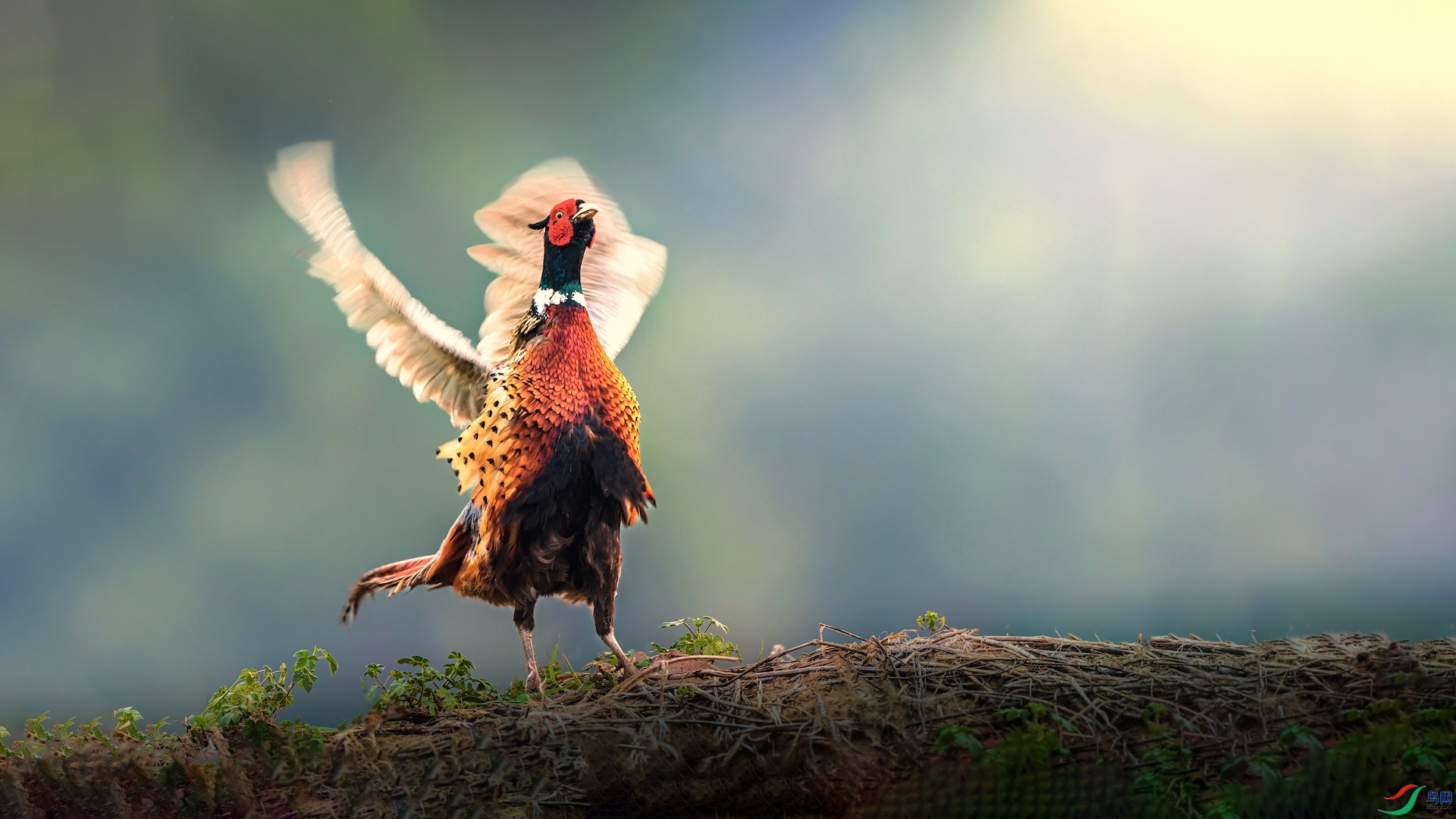 1_XXI2777 ���� 2.jpg1-1�ĸ���-1 2.jpeg