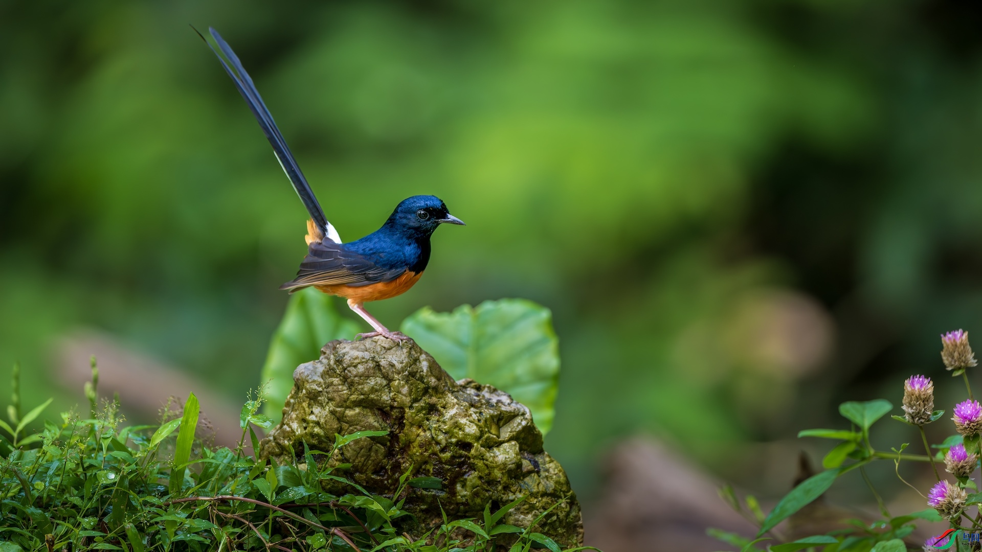 1_XXL6147-����ǿ-NR ����.jpeg