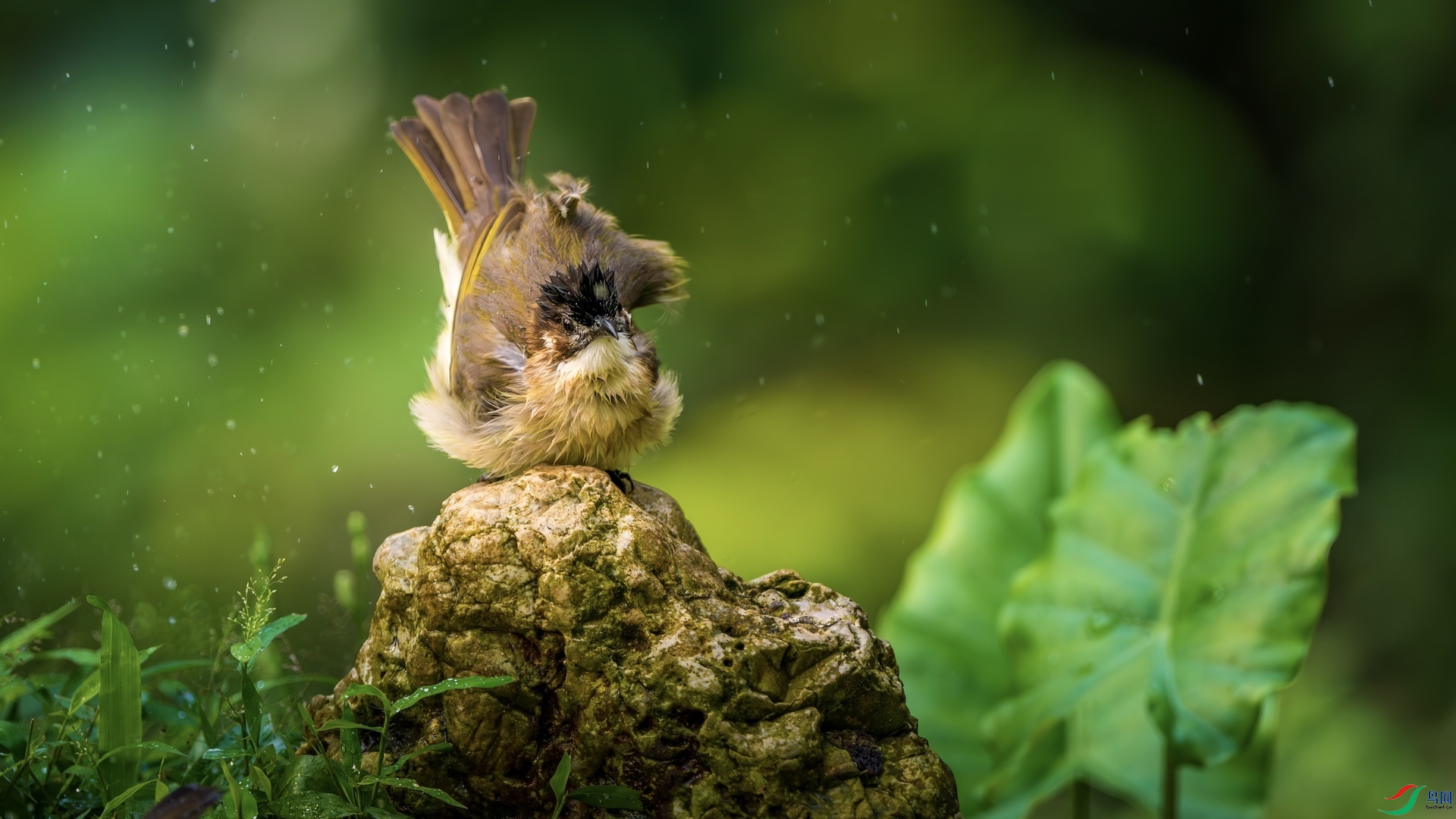 1_XXL6369-����ǿ-NR ����.jpeg