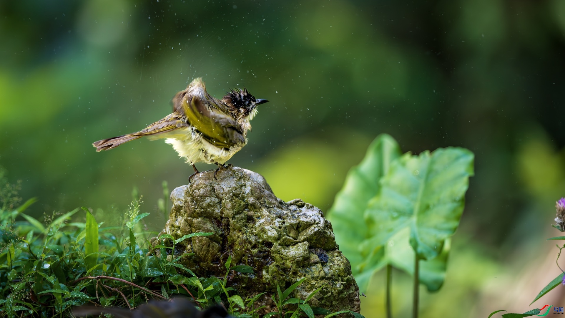 1_XXL6435-����ǿ-NR ����.jpeg