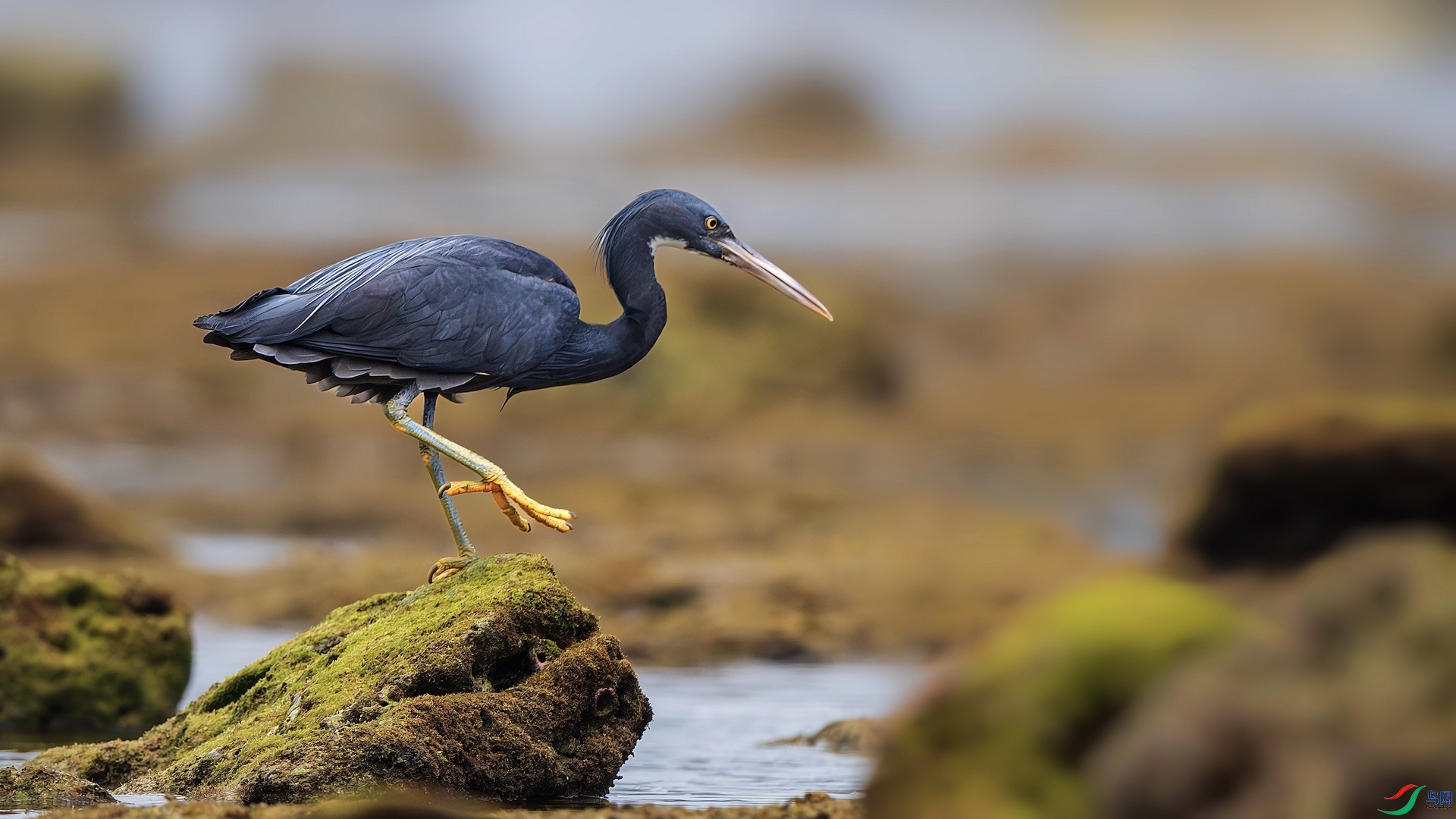 1_XXL8450-����ǿ-NR ����.jpeg