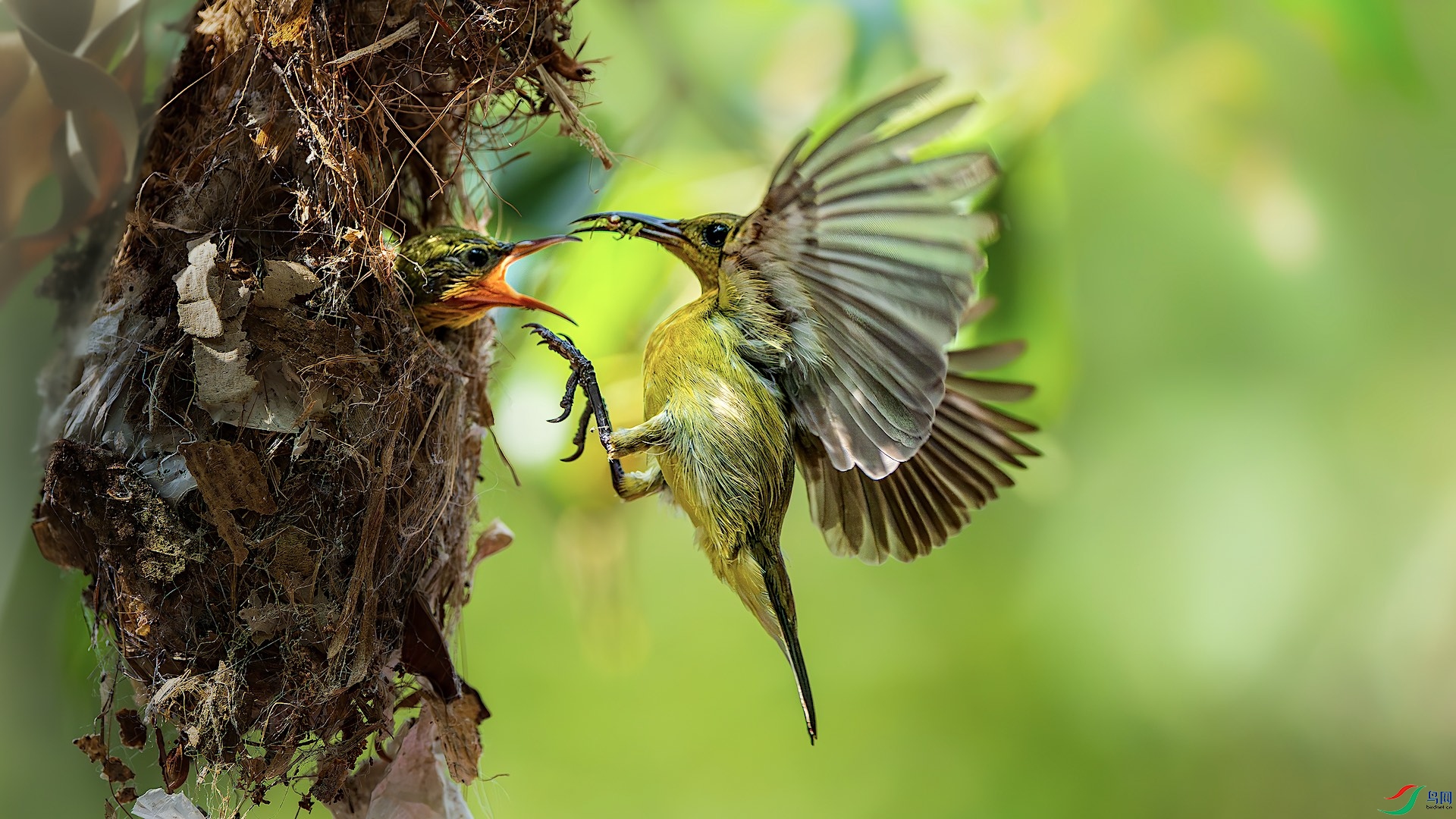 1_XXL9541-����ǿ-NR ����.jpeg