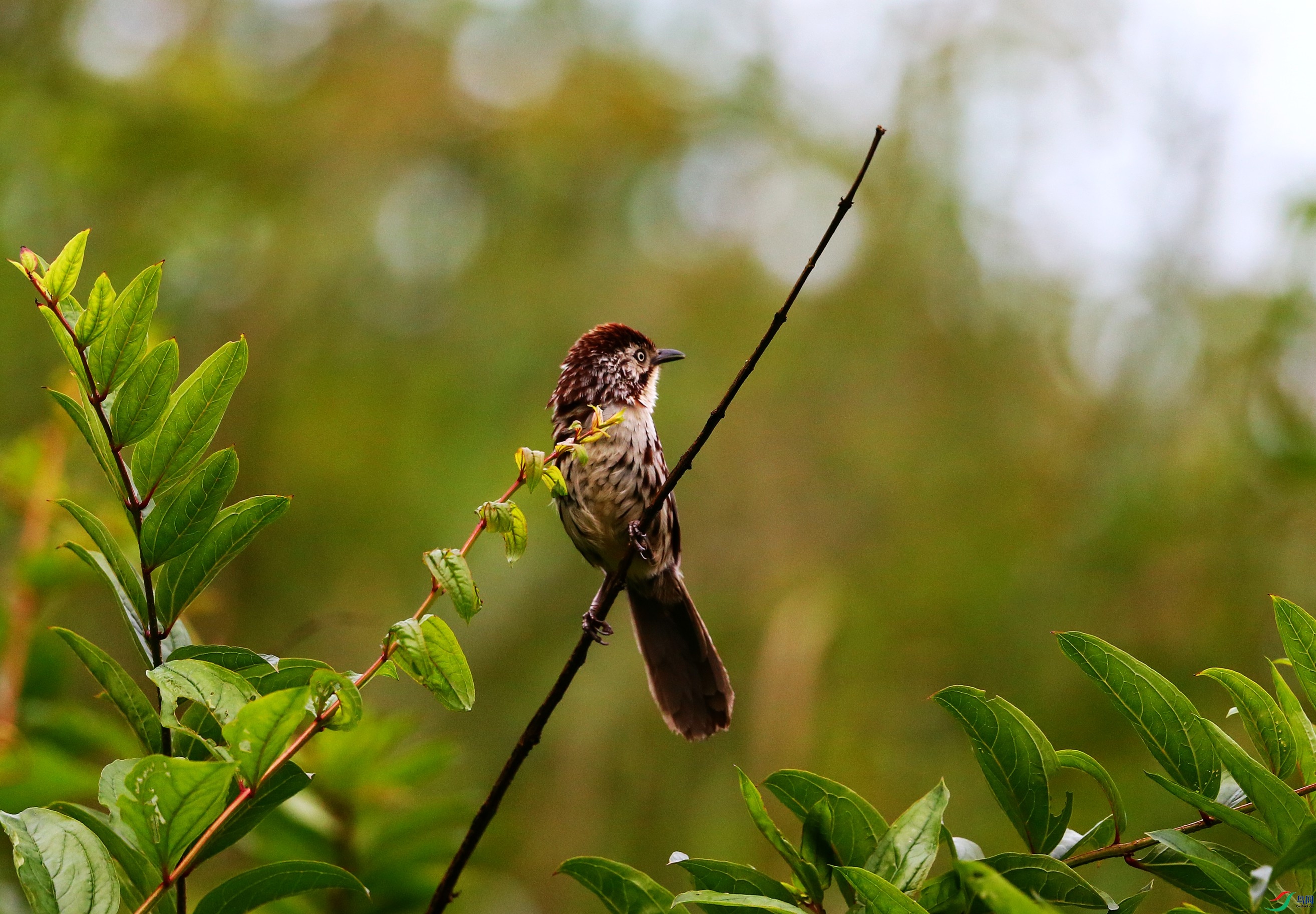 ì�Ʋ���  (4).JPG