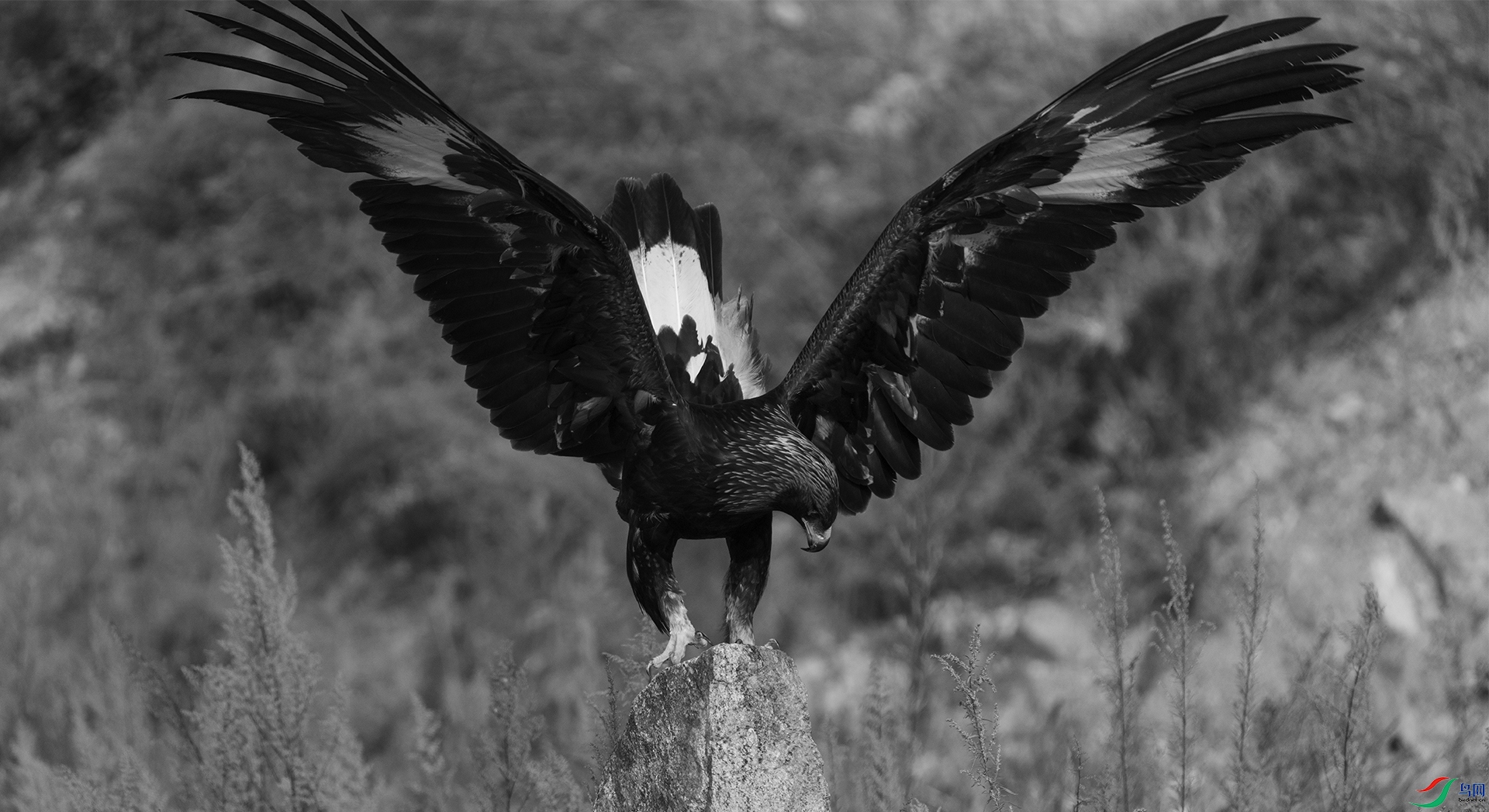 DSC06027 ����.jpg