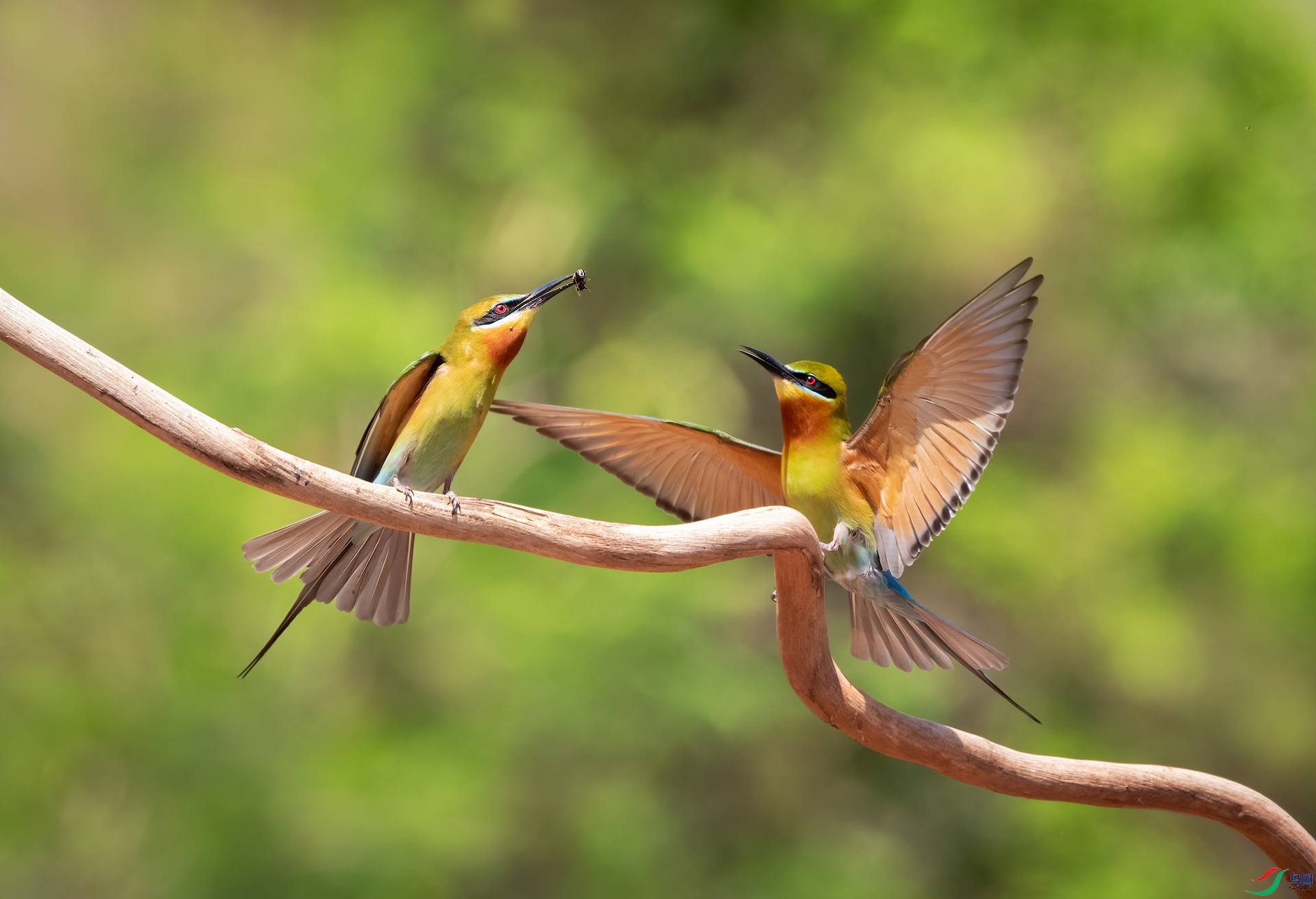 8A9A2659-����13.jpg