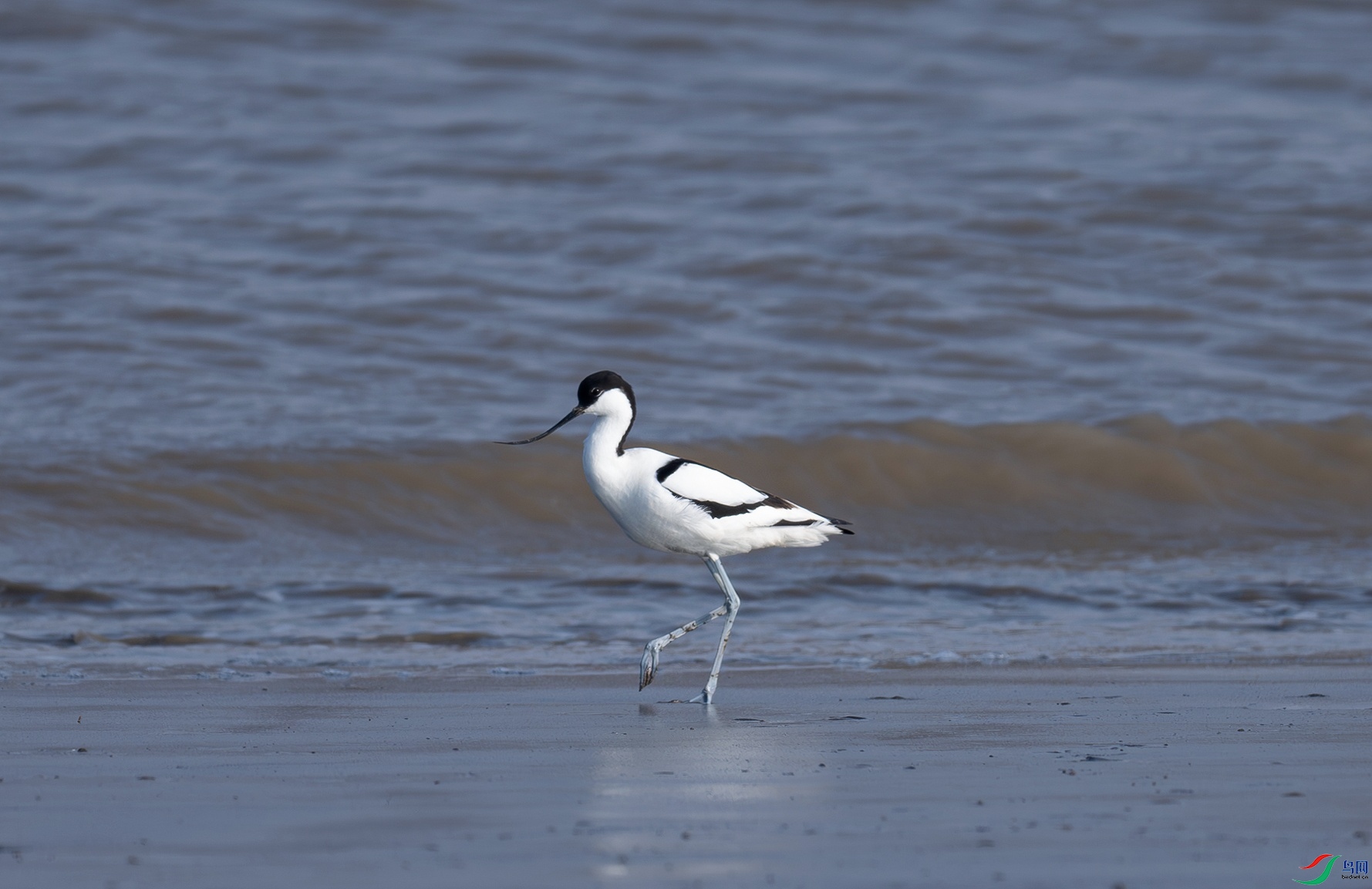 _DSC1557f.jpg