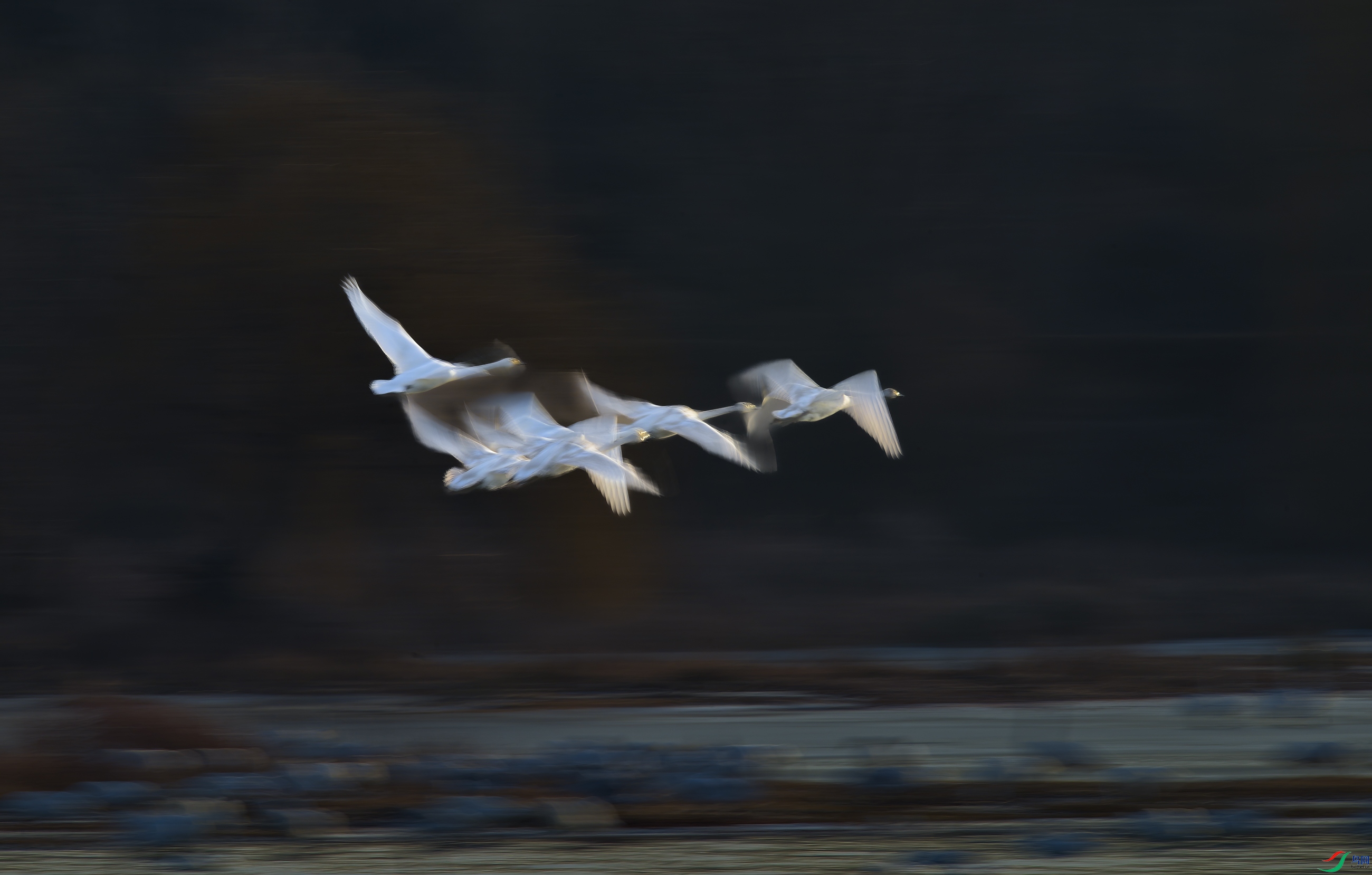 DSC_6296-�ָ���32.jpg