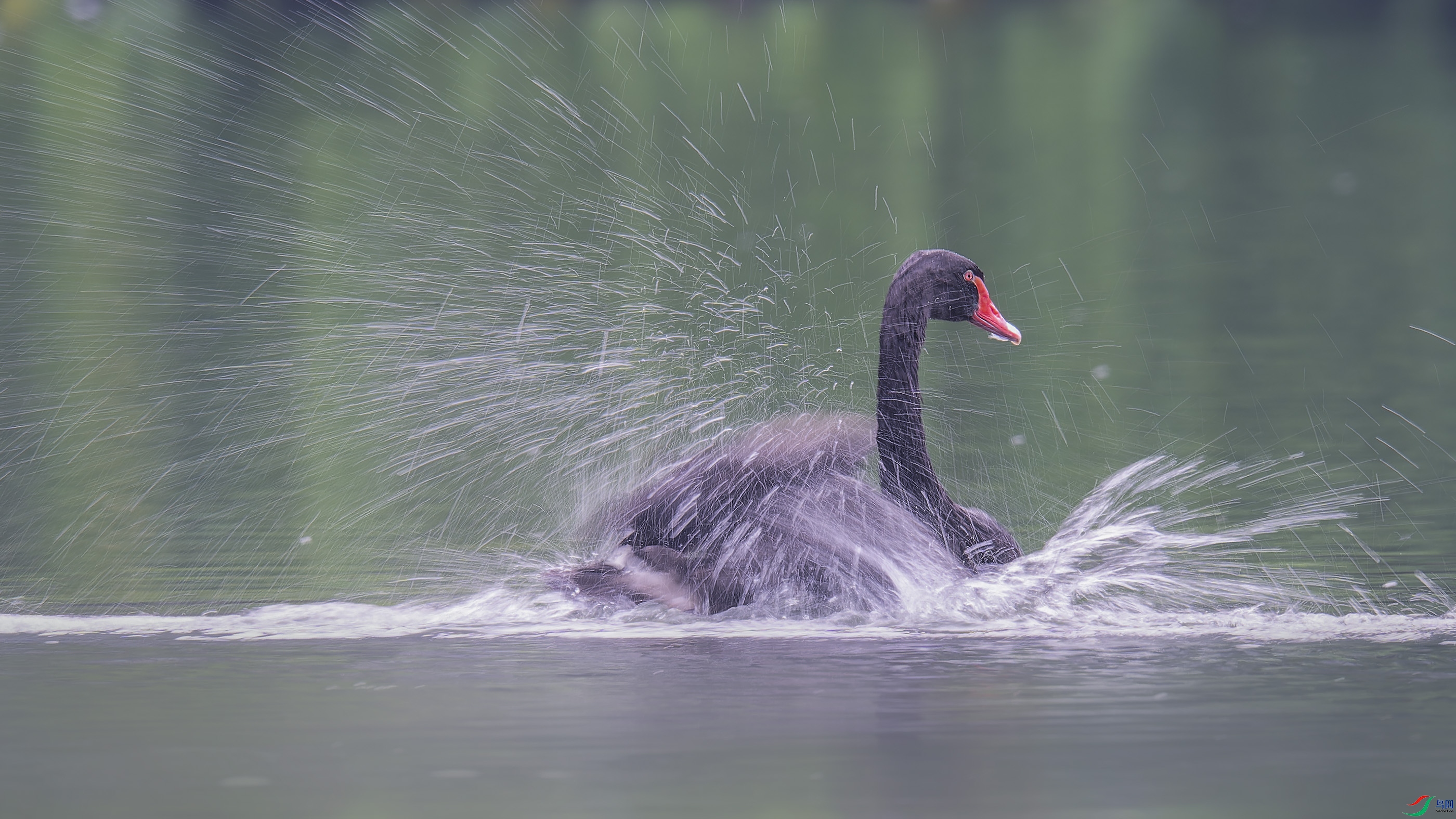 DSC_8580_DxO.jpg
