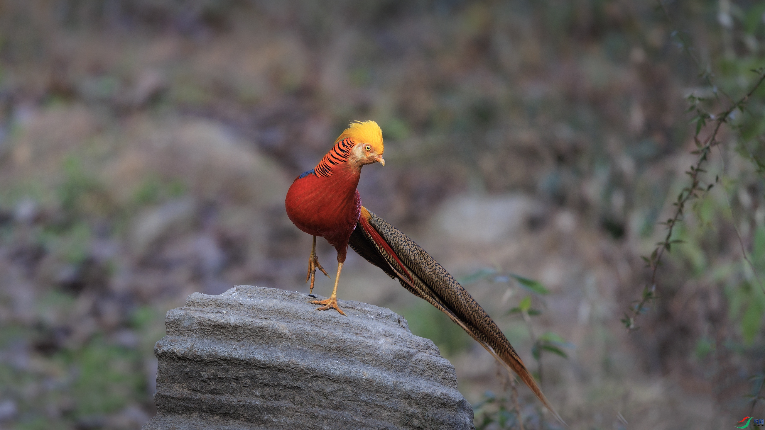 7X5A0729 ����.jpg