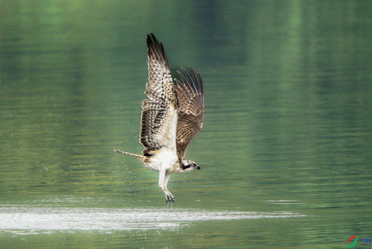 DSC05760-����ǿ ����.jpeg