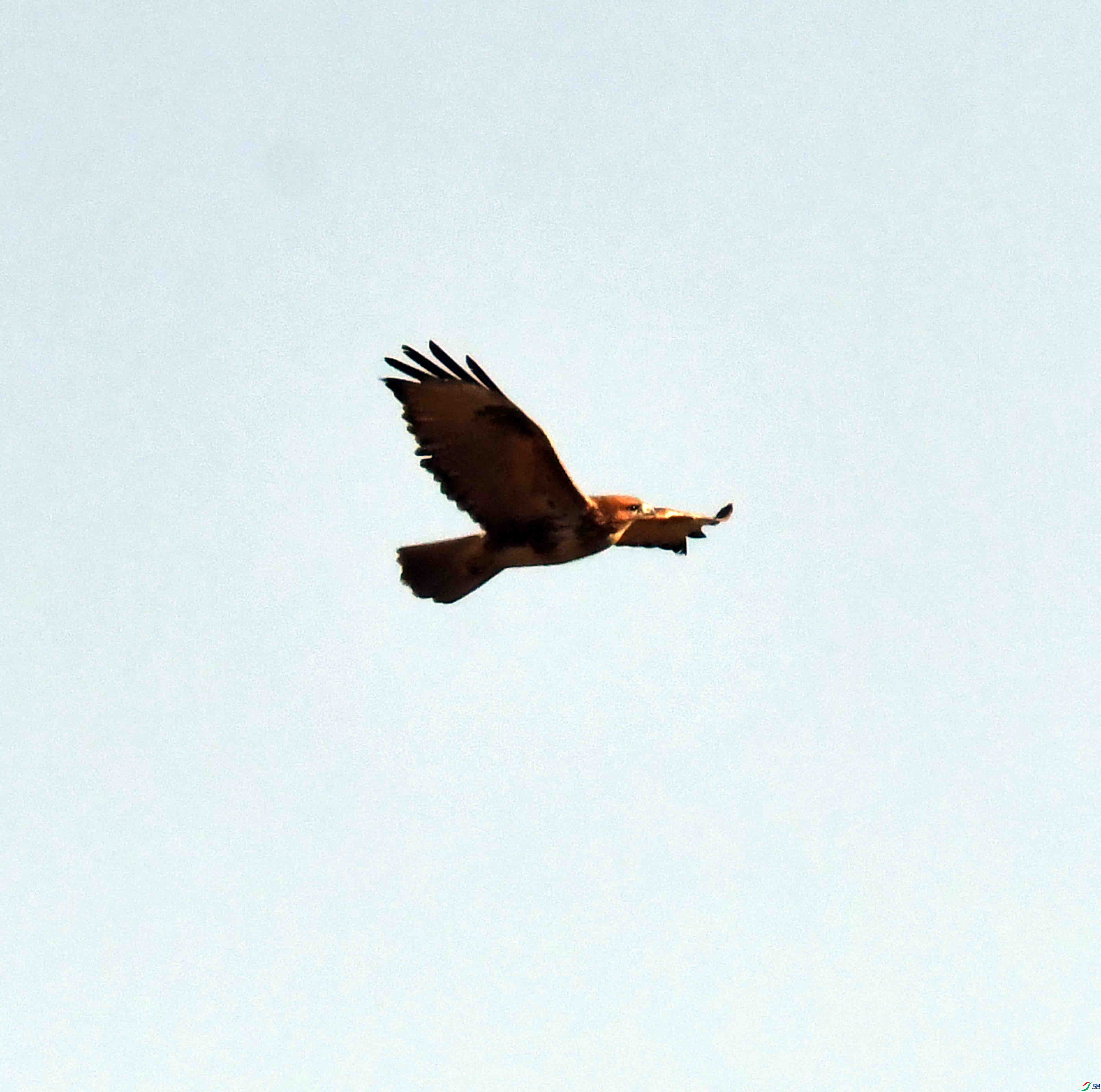 DSC_1970.JPG