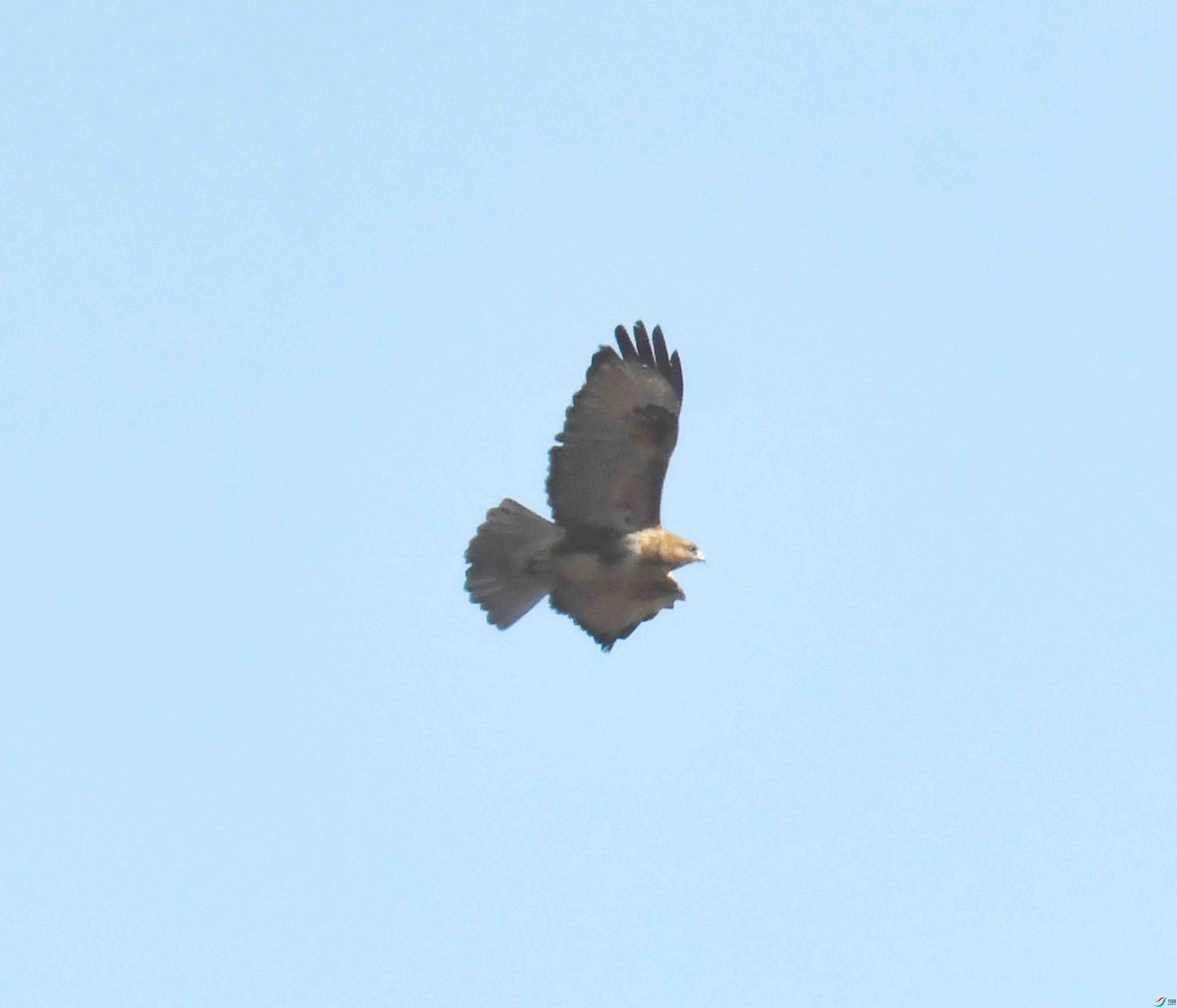 DSC_1974.JPG