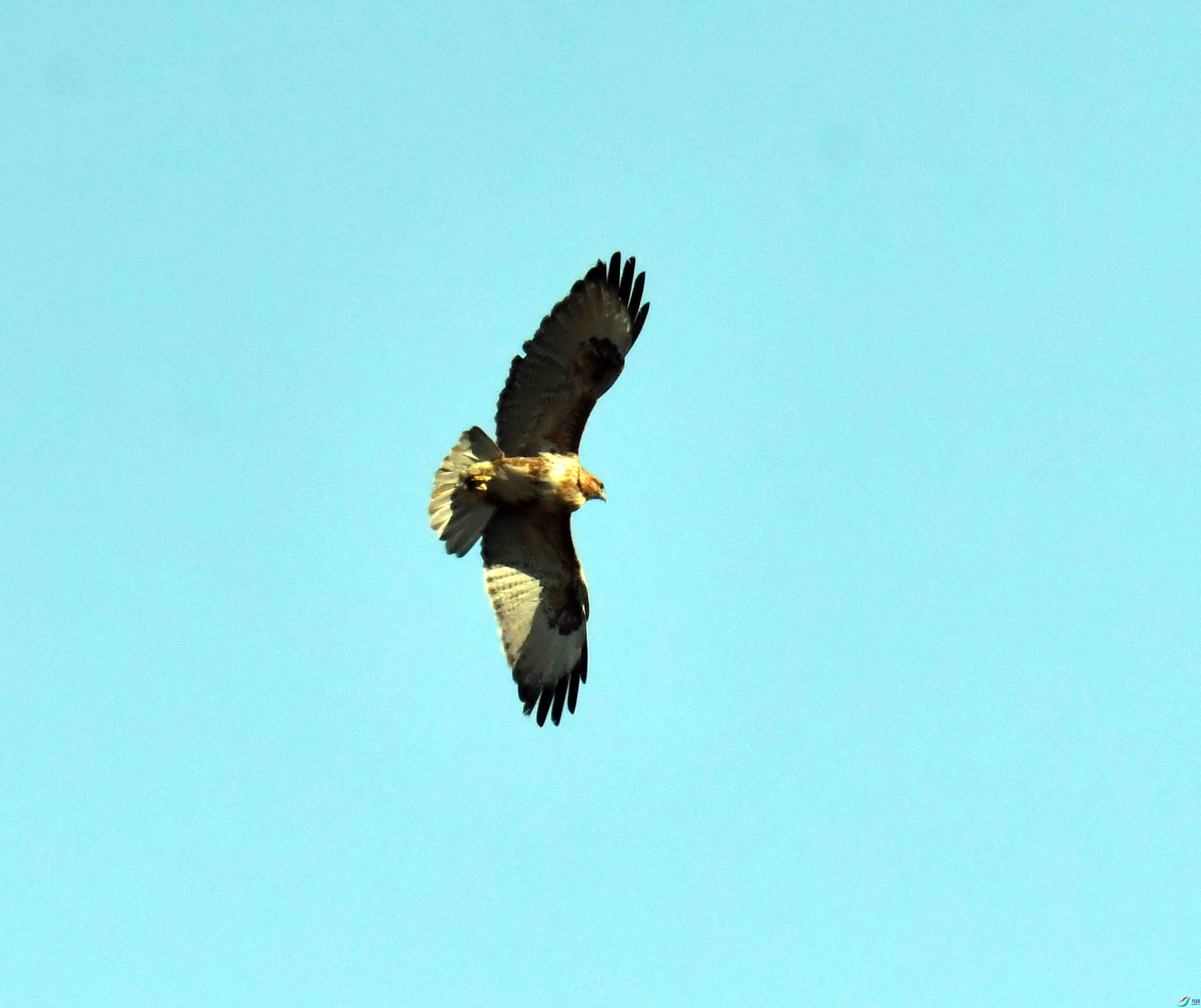 DSC_1972.JPG