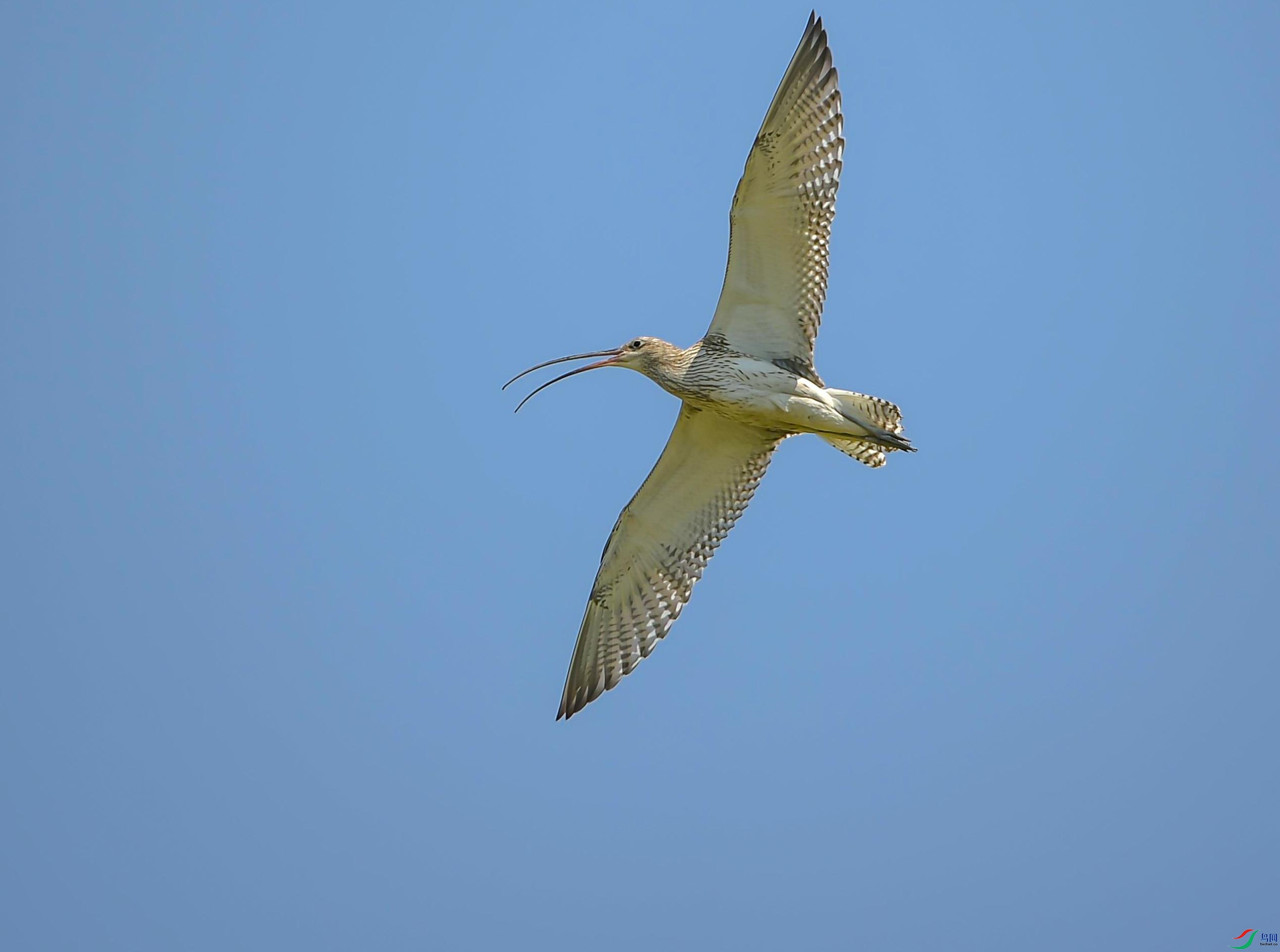 DSC_3204---������_���ٿ�ͼ.jpg