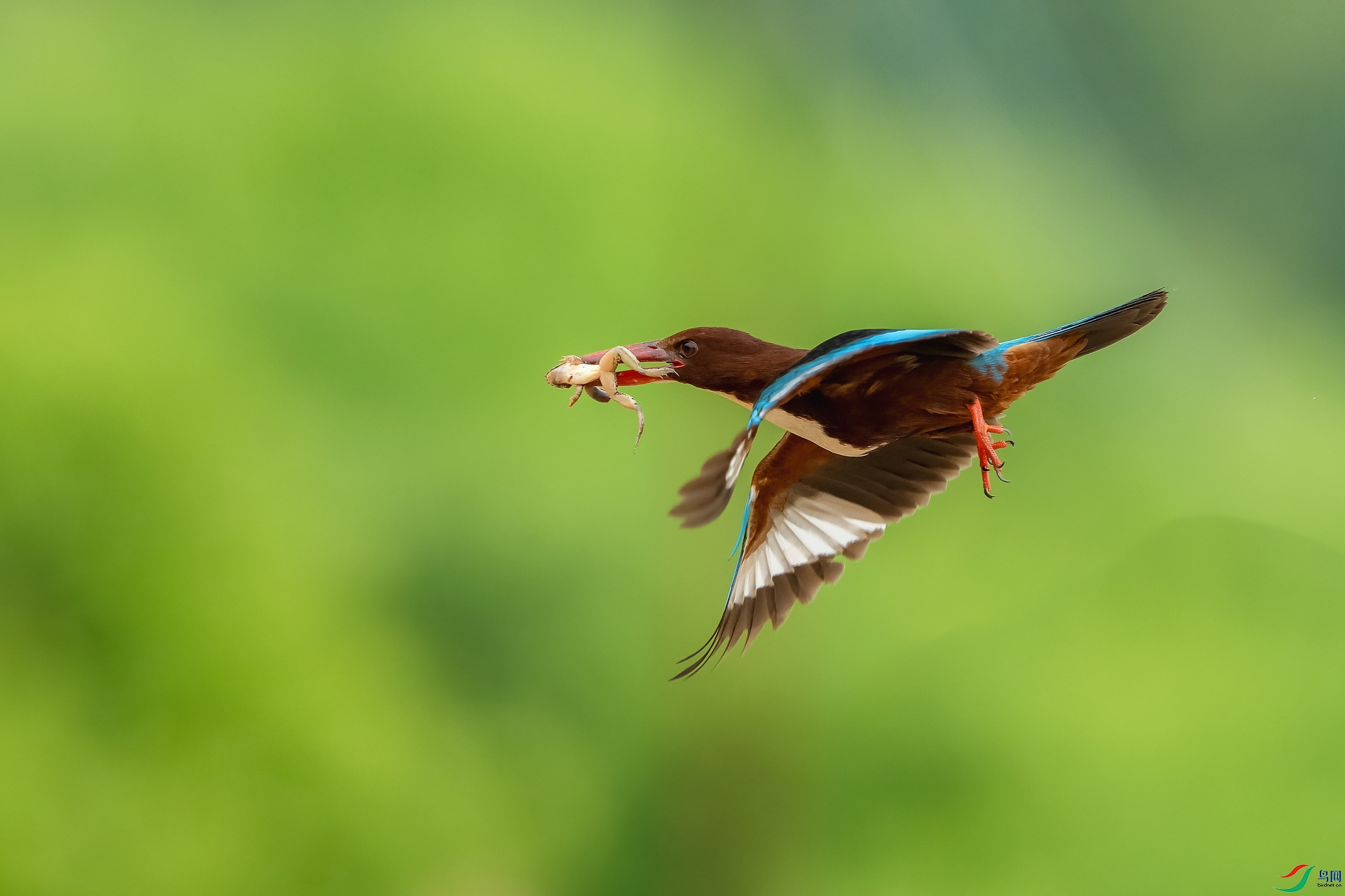 _DSC3891 ����_1.jpg