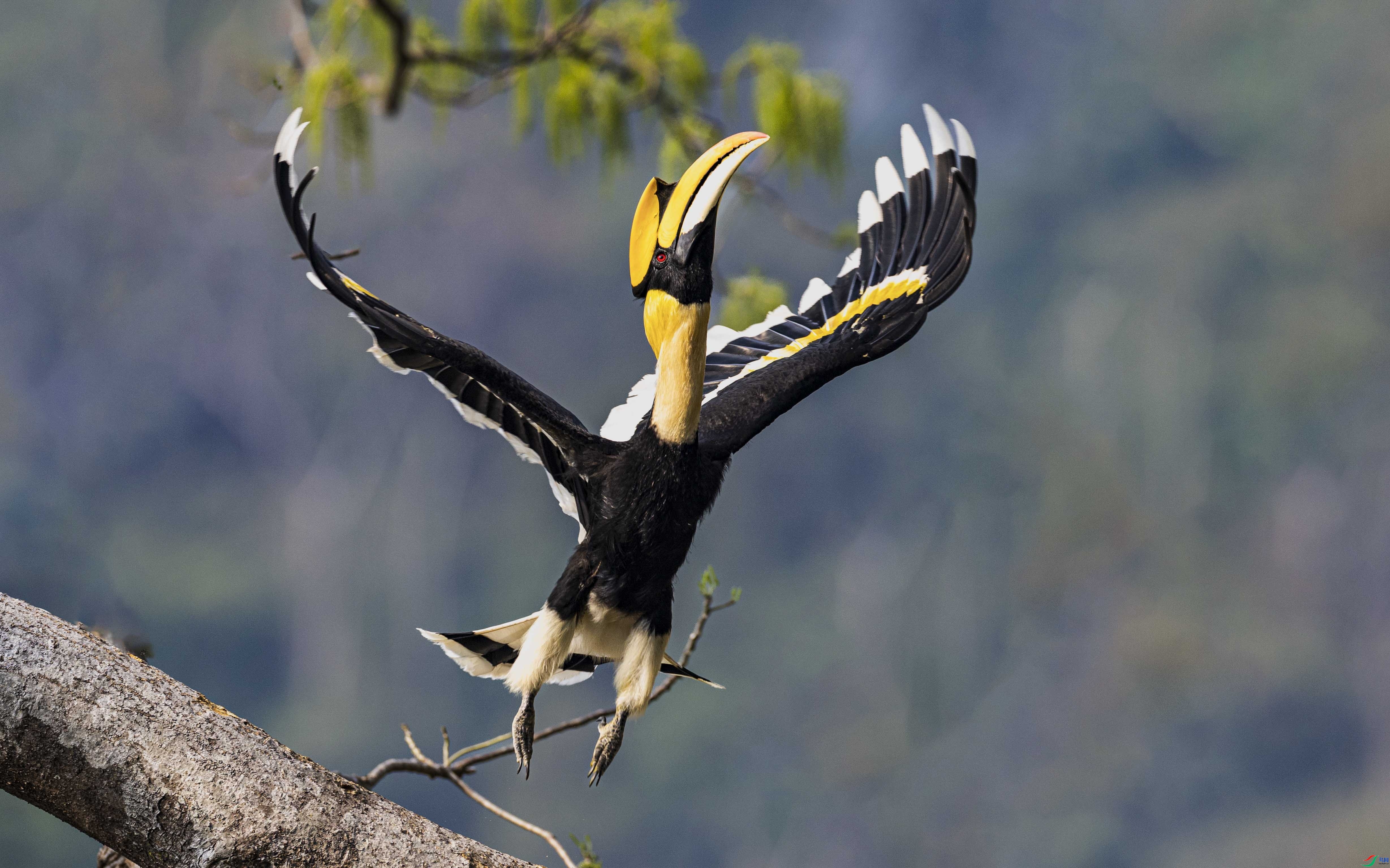 9.16������ʦ��Ʒ   �����濴����ף�ؼ����ٻ��� ҳ������.jpg