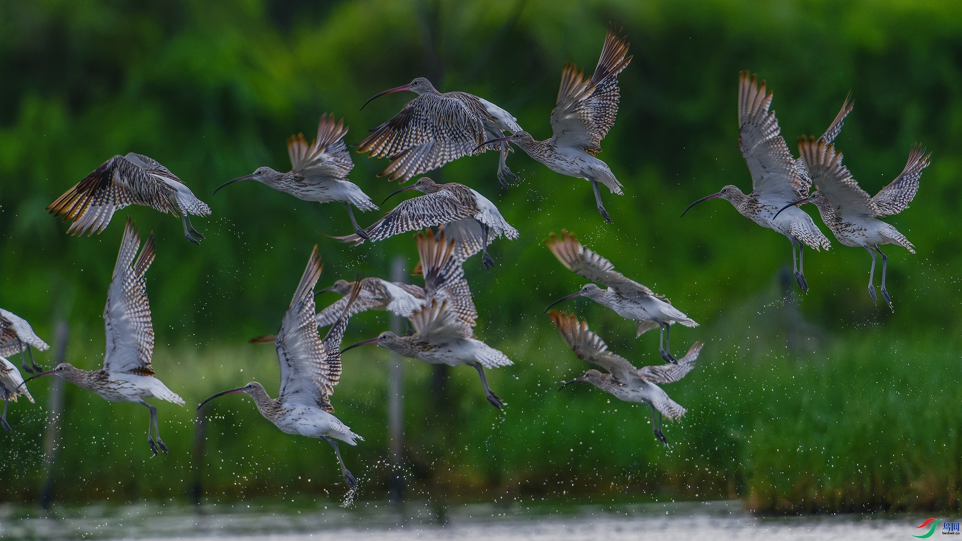 9.17����627��ʦ��Ʒ   ������֣�ף�ؼ����ٻ���ҳ������.jpg