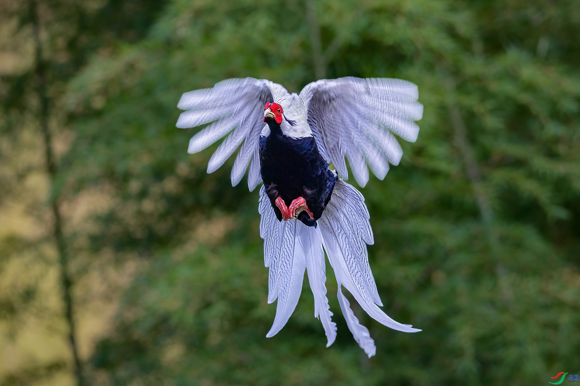 9.20�ƽ�Ҷ��ʦ��Ʒ   ӭ�������ף�ؼ����ٻ����Ѿ�����.jpg